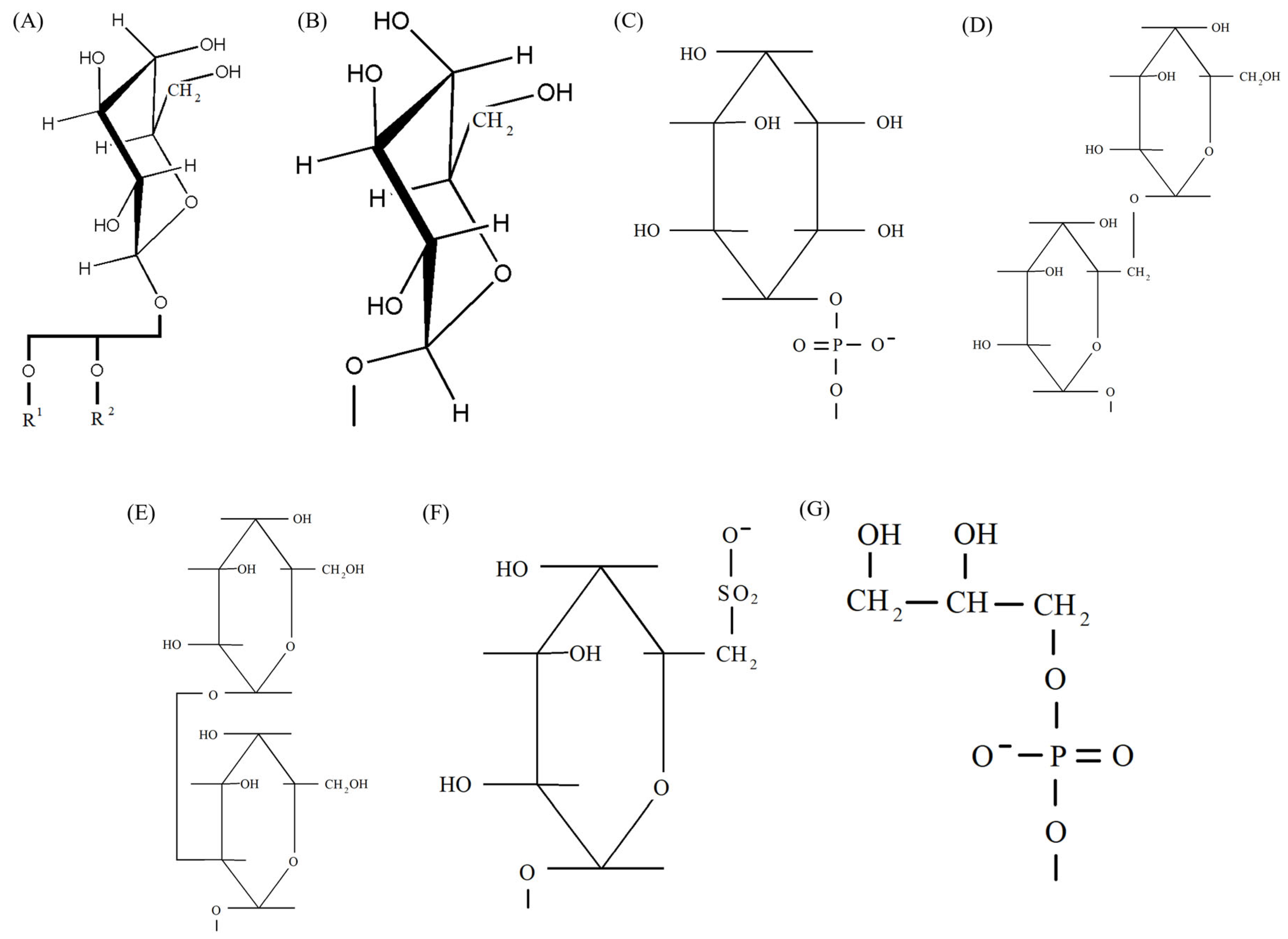 Ijms 26 09869 g001 Ijms 26 09869 g001