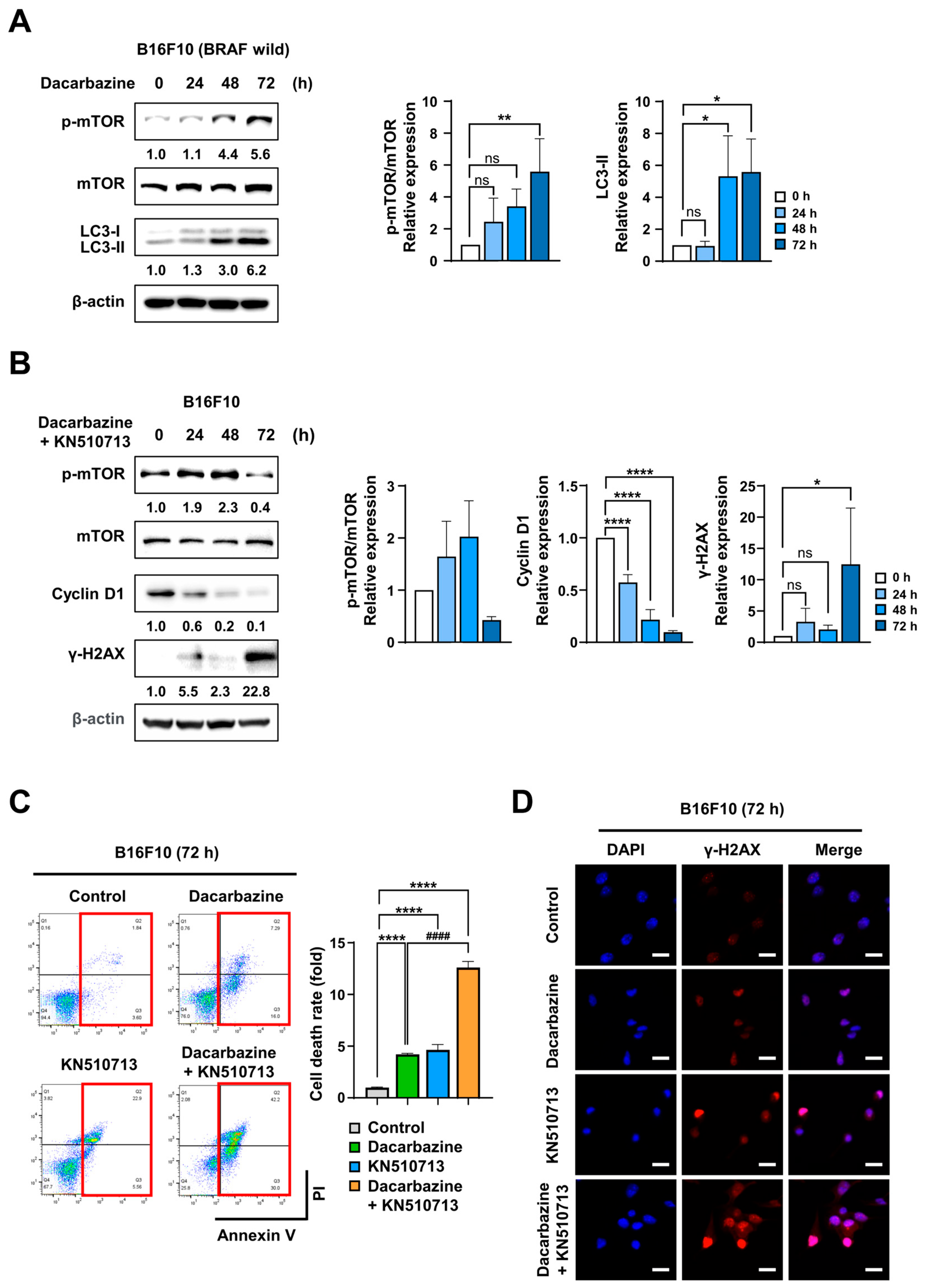 Ijms 26 09873 g003 Ijms 26 09873 g003