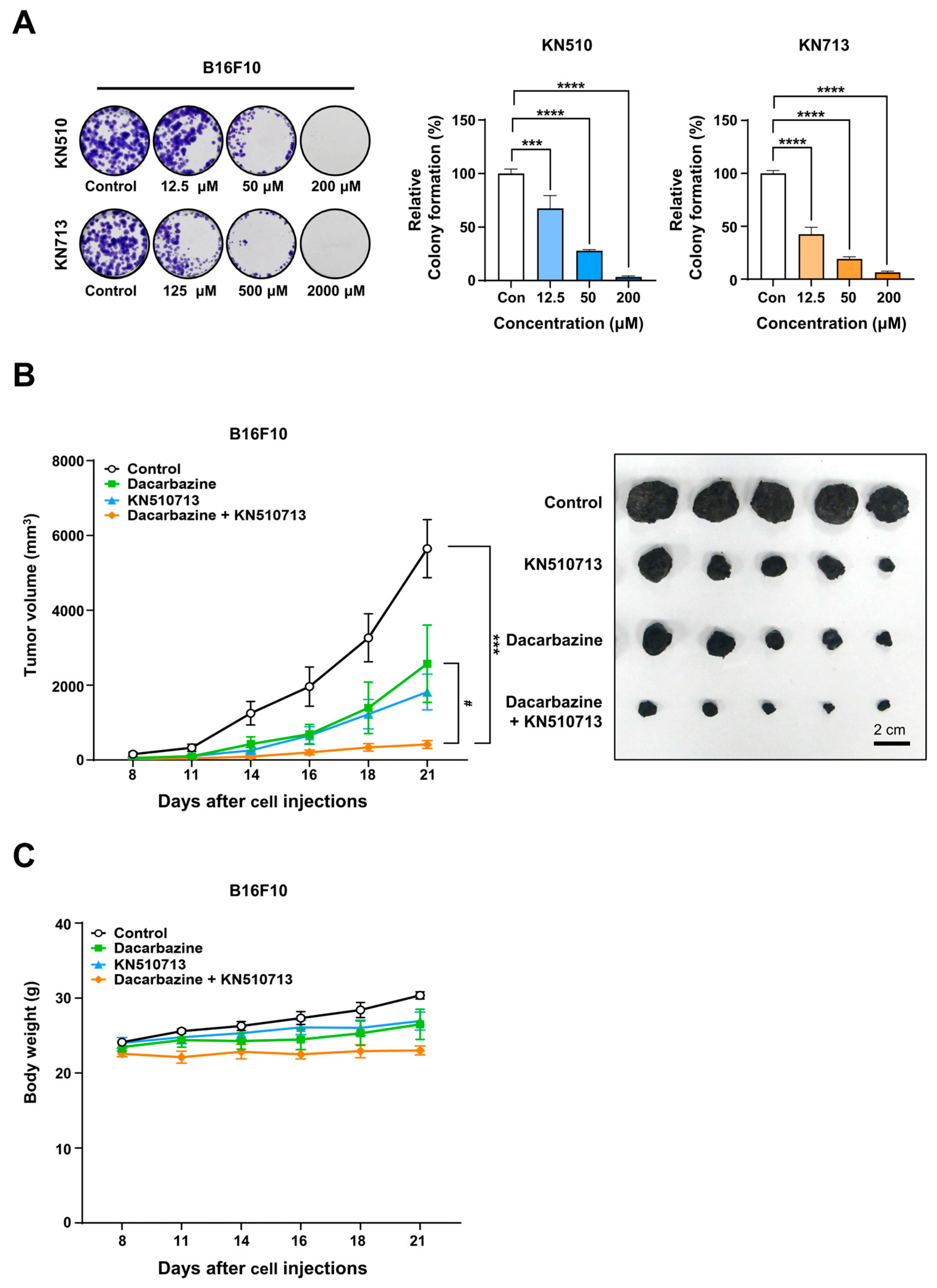 Ijms 26 09873 g005 Ijms 26 09873 g005