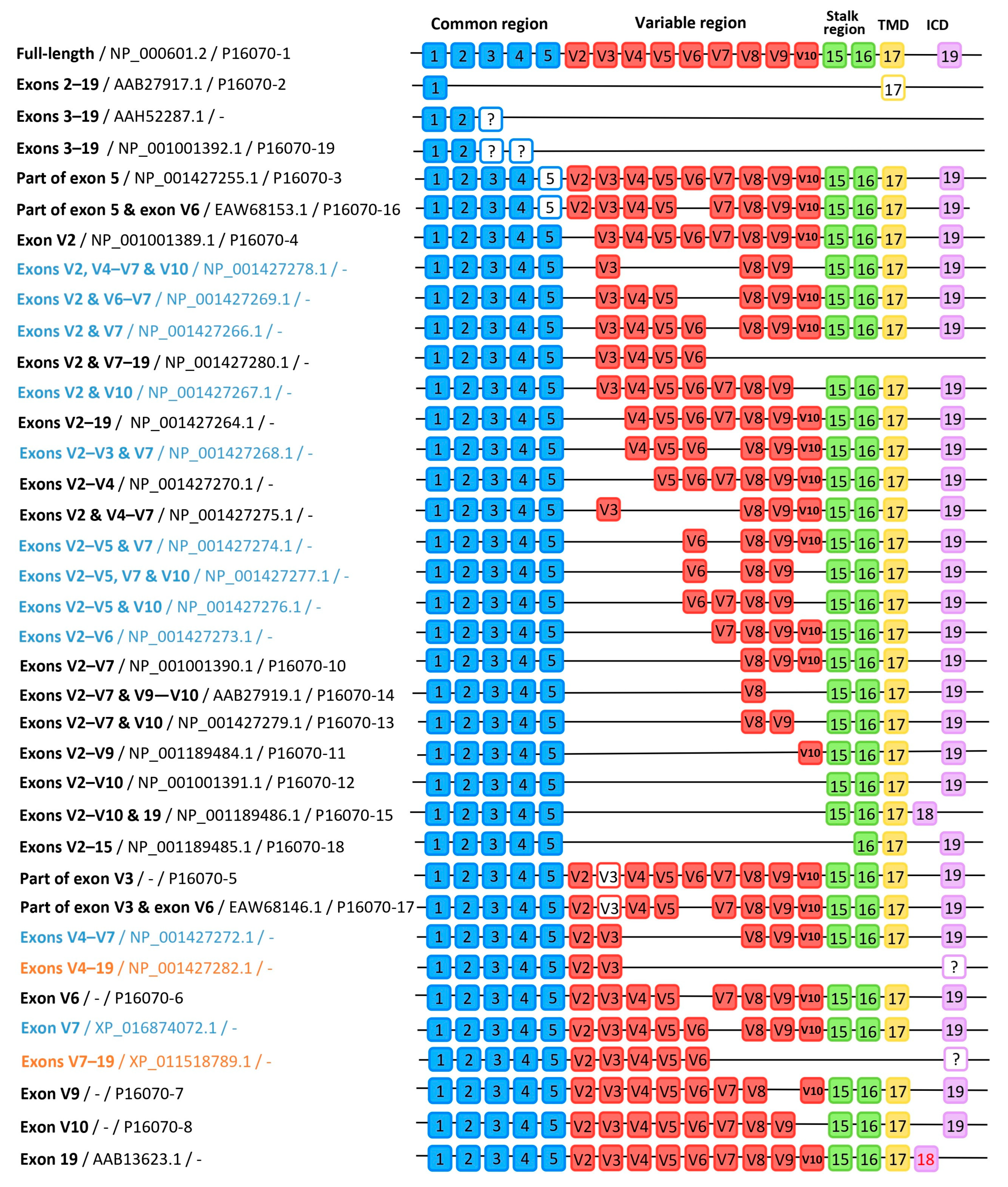 Ijms 26 09886 g004 Ijms 26 09886 g004