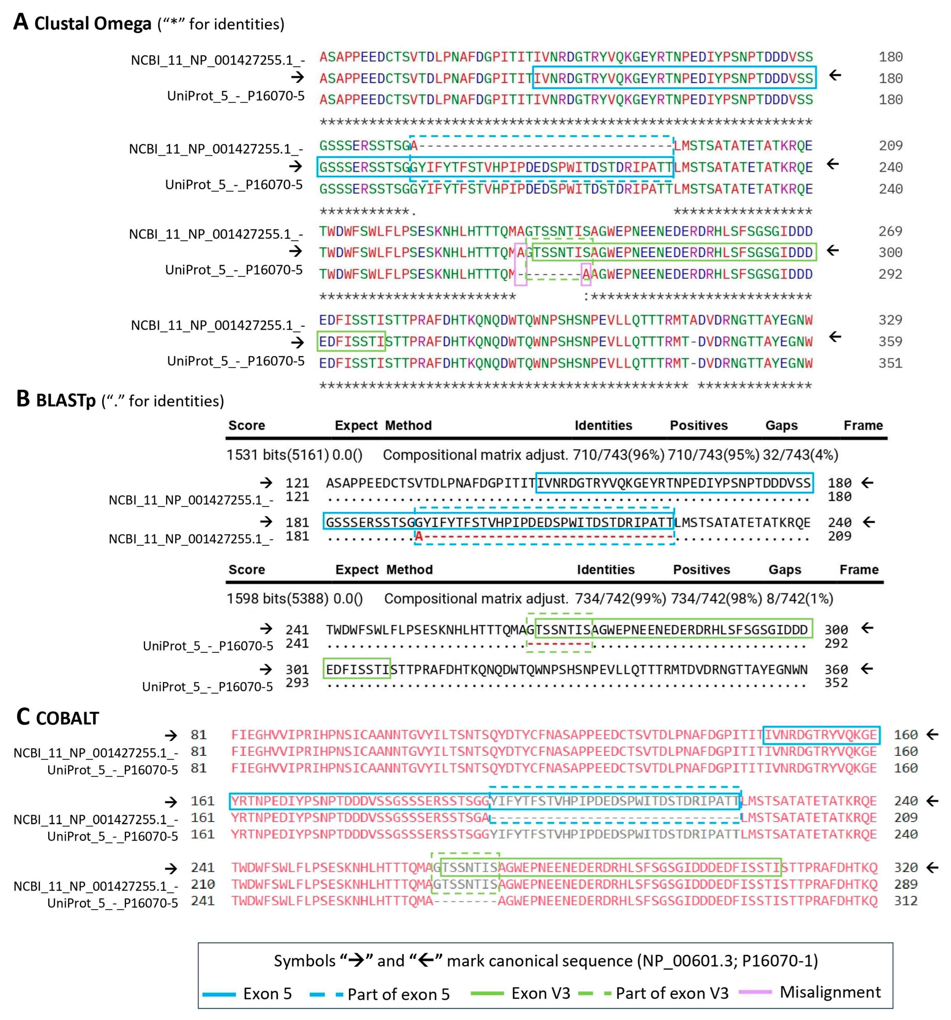 Ijms 26 09886 g005 Ijms 26 09886 g005