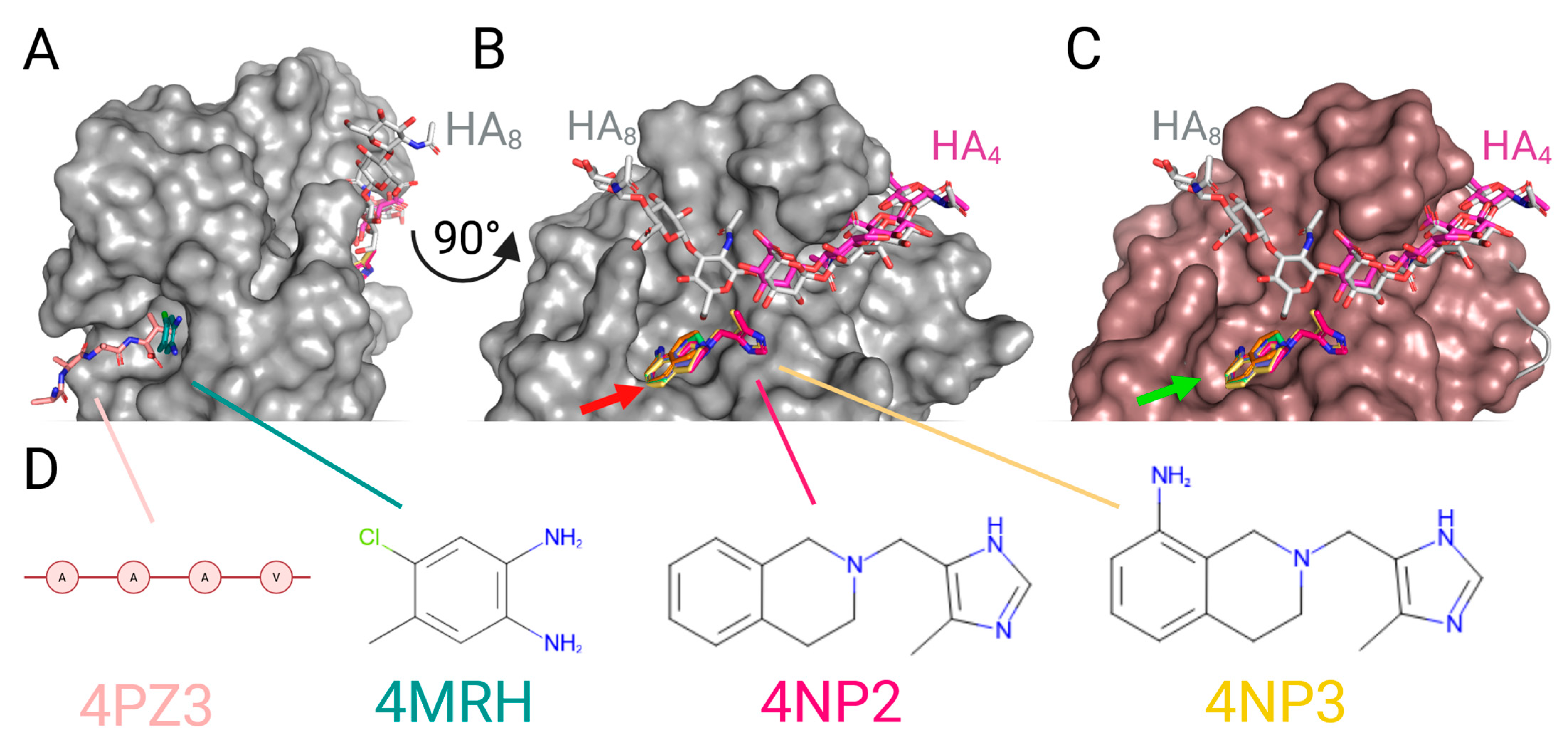 Ijms 26 09886 g009 Ijms 26 09886 g009