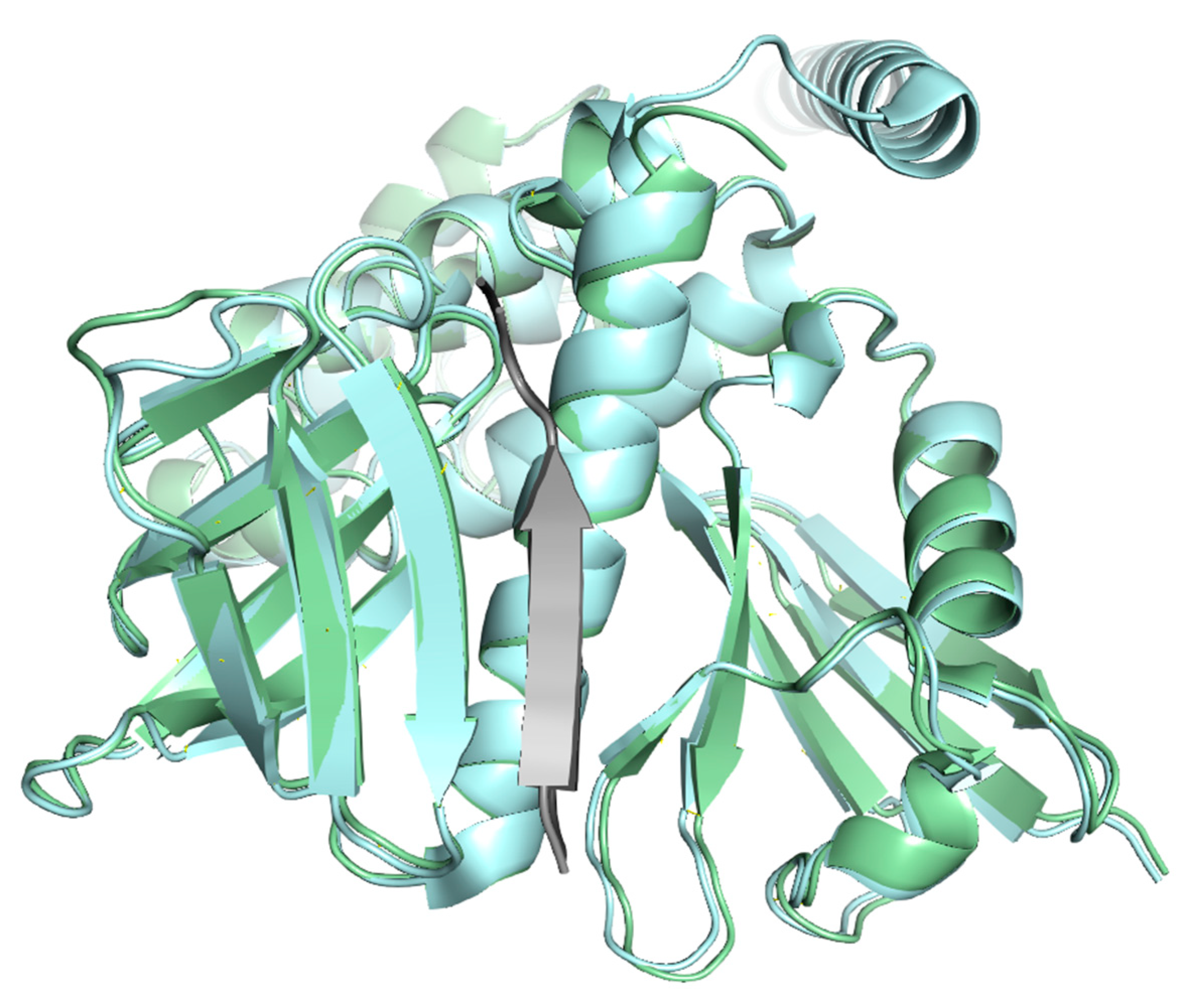 Ijms 26 09886 g013 Ijms 26 09886 g013