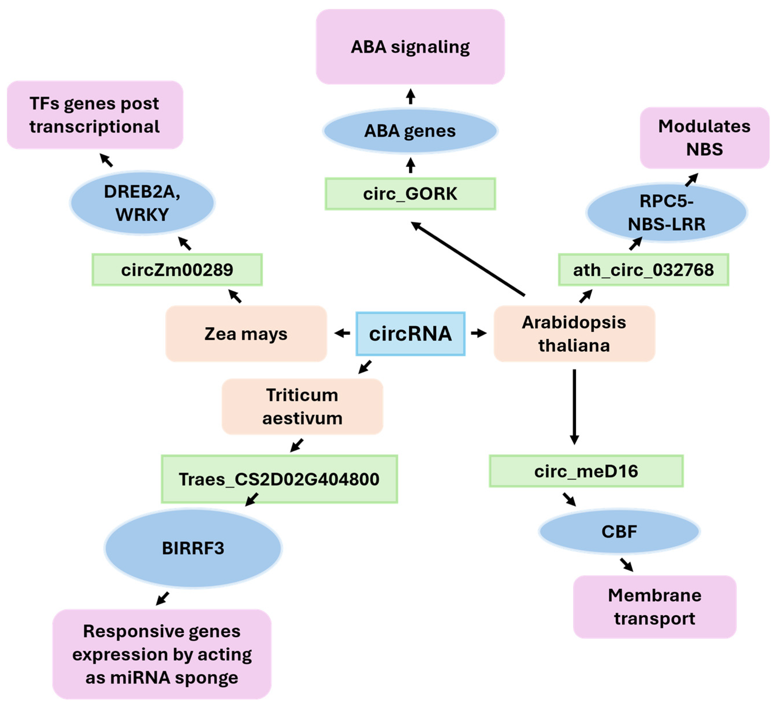 Ijms 26 09892 g004 Ijms 26 09892 g004