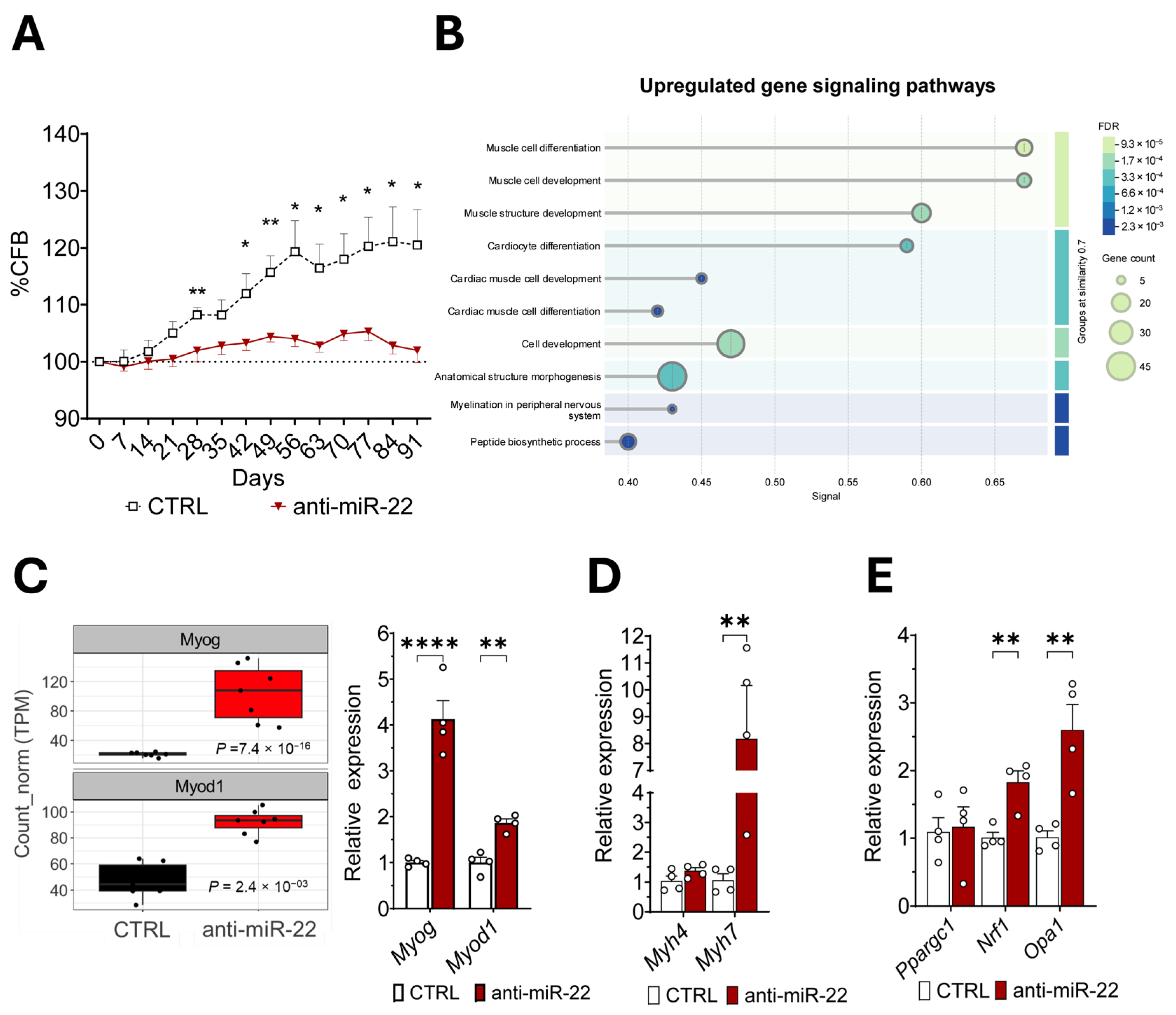Ijms 26 09900 g002 Ijms 26 09900 g002
