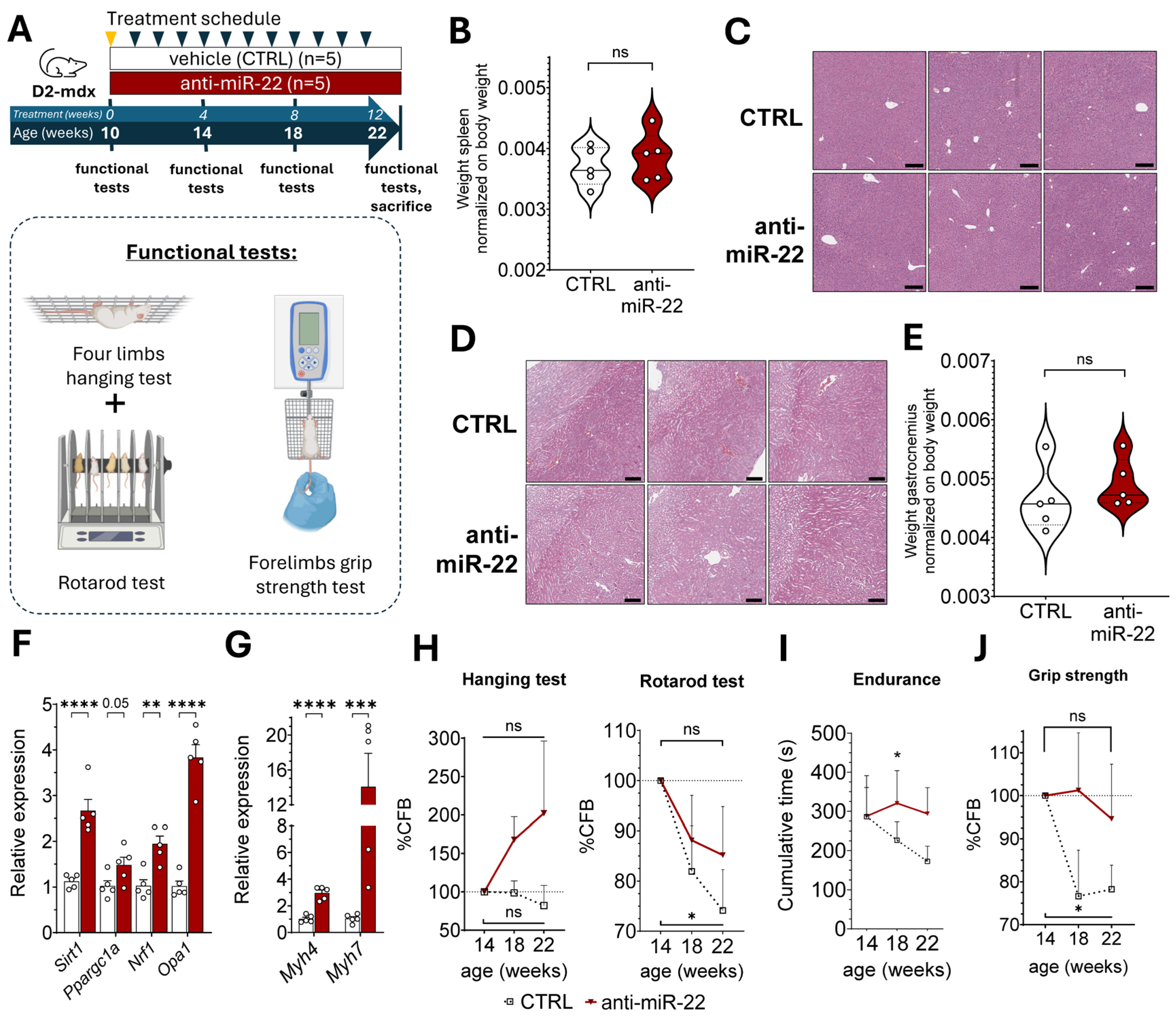 Ijms 26 09900 g003 Ijms 26 09900 g003