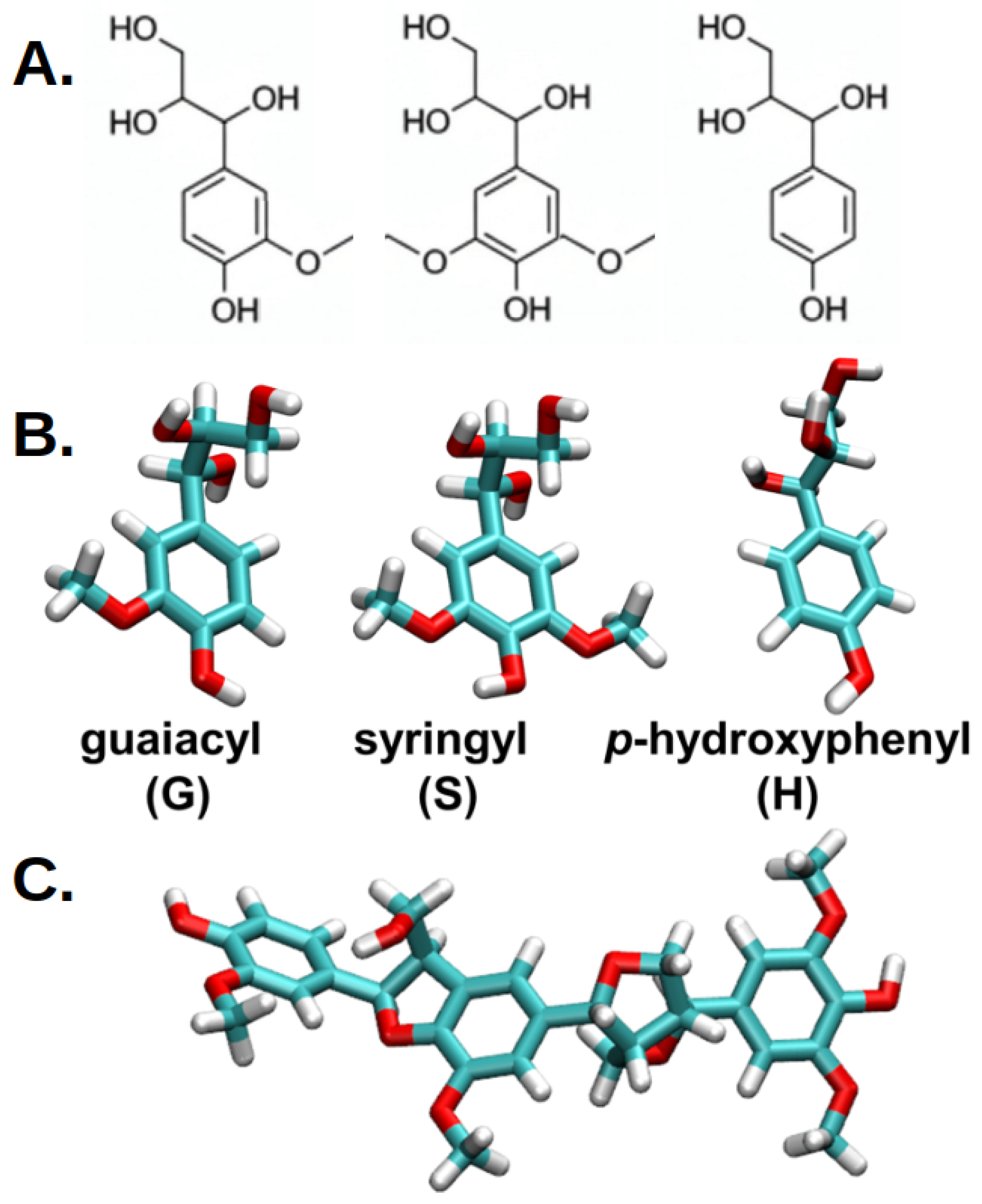 Ijms 26 09906 g001 Ijms 26 09906 g001