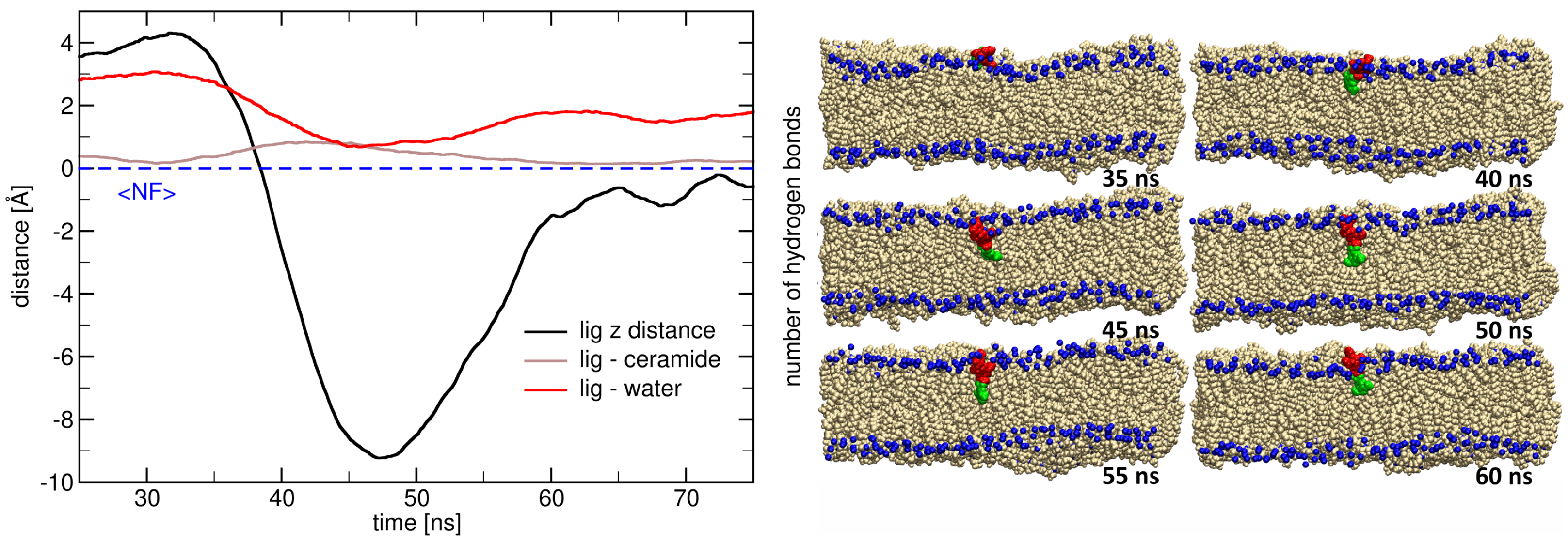 Ijms 26 09906 g007 Ijms 26 09906 g007