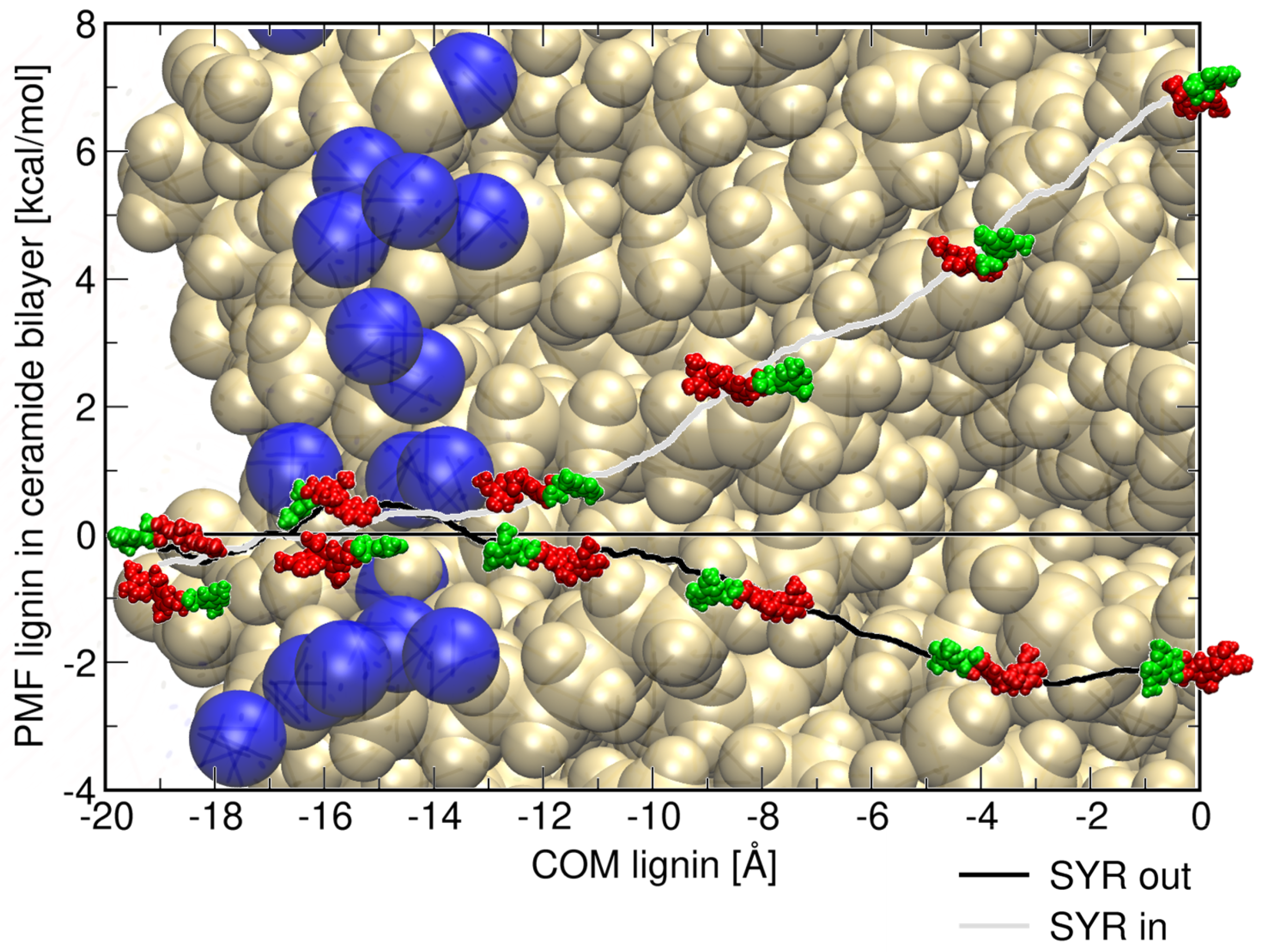 Ijms 26 09906 g008 Ijms 26 09906 g008