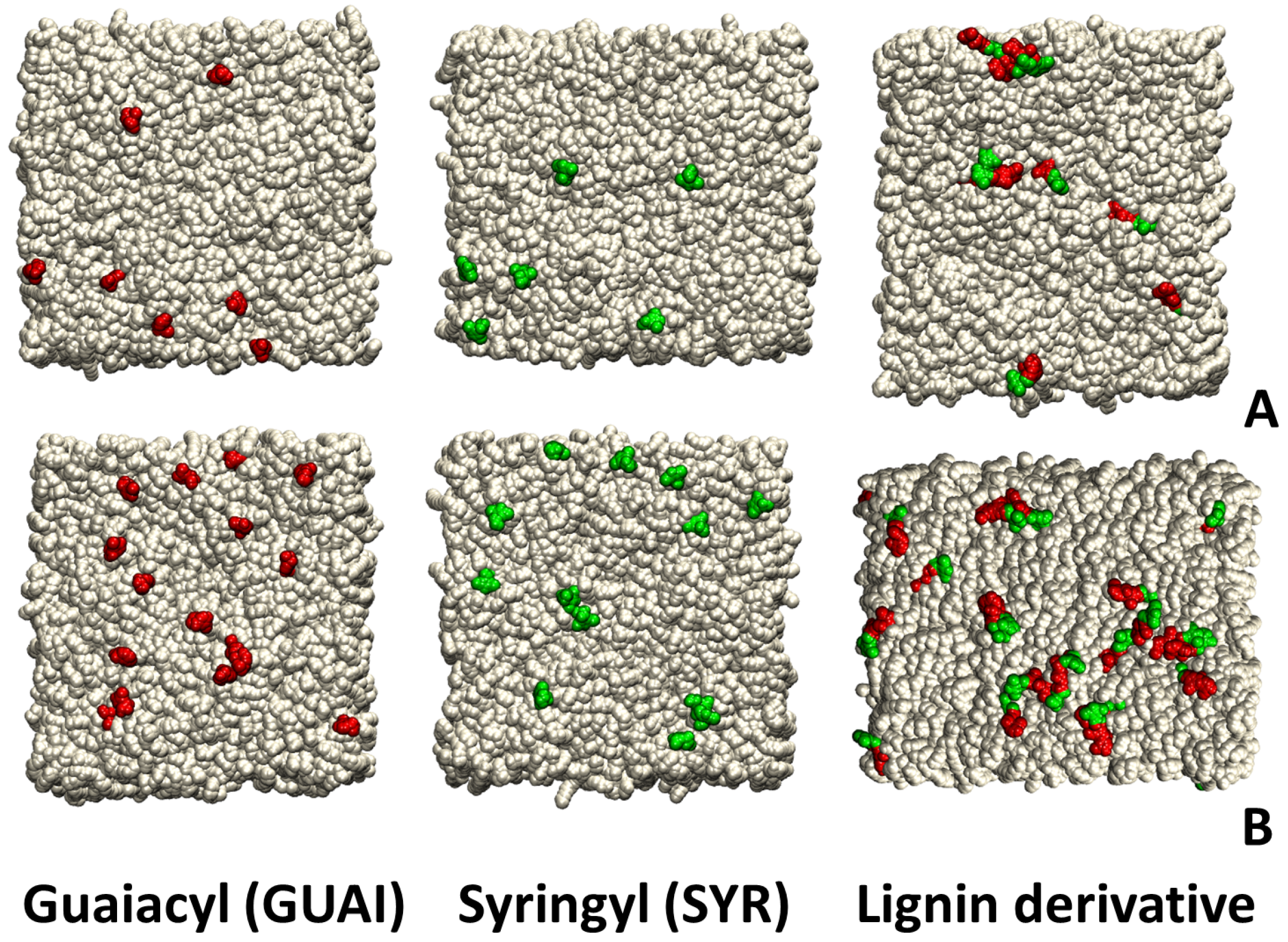 Ijms 26 09906 g011 Ijms 26 09906 g011