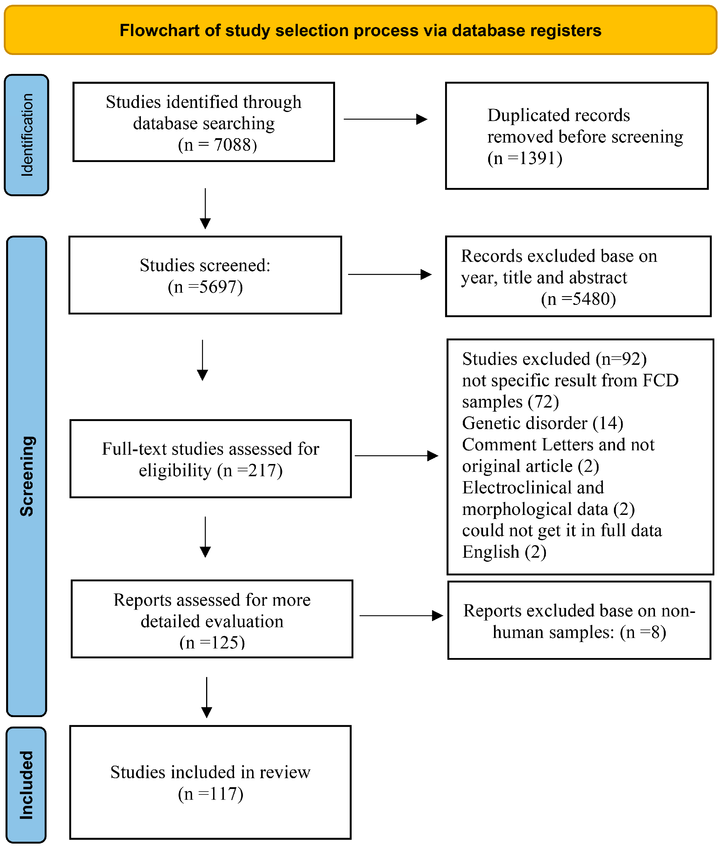 Ijms 26 09909 g001 Ijms 26 09909 g001