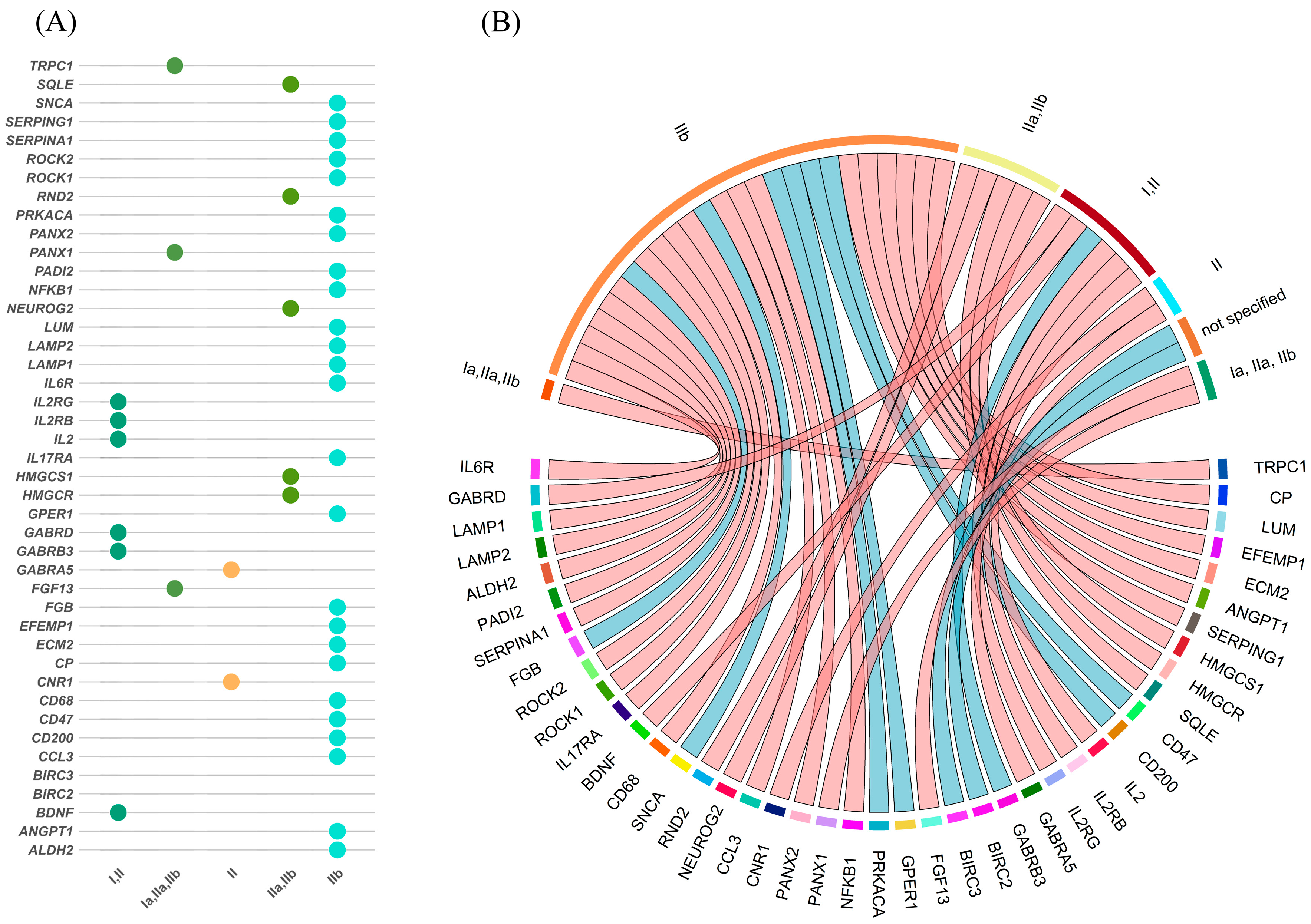 Ijms 26 09909 g004 Ijms 26 09909 g004