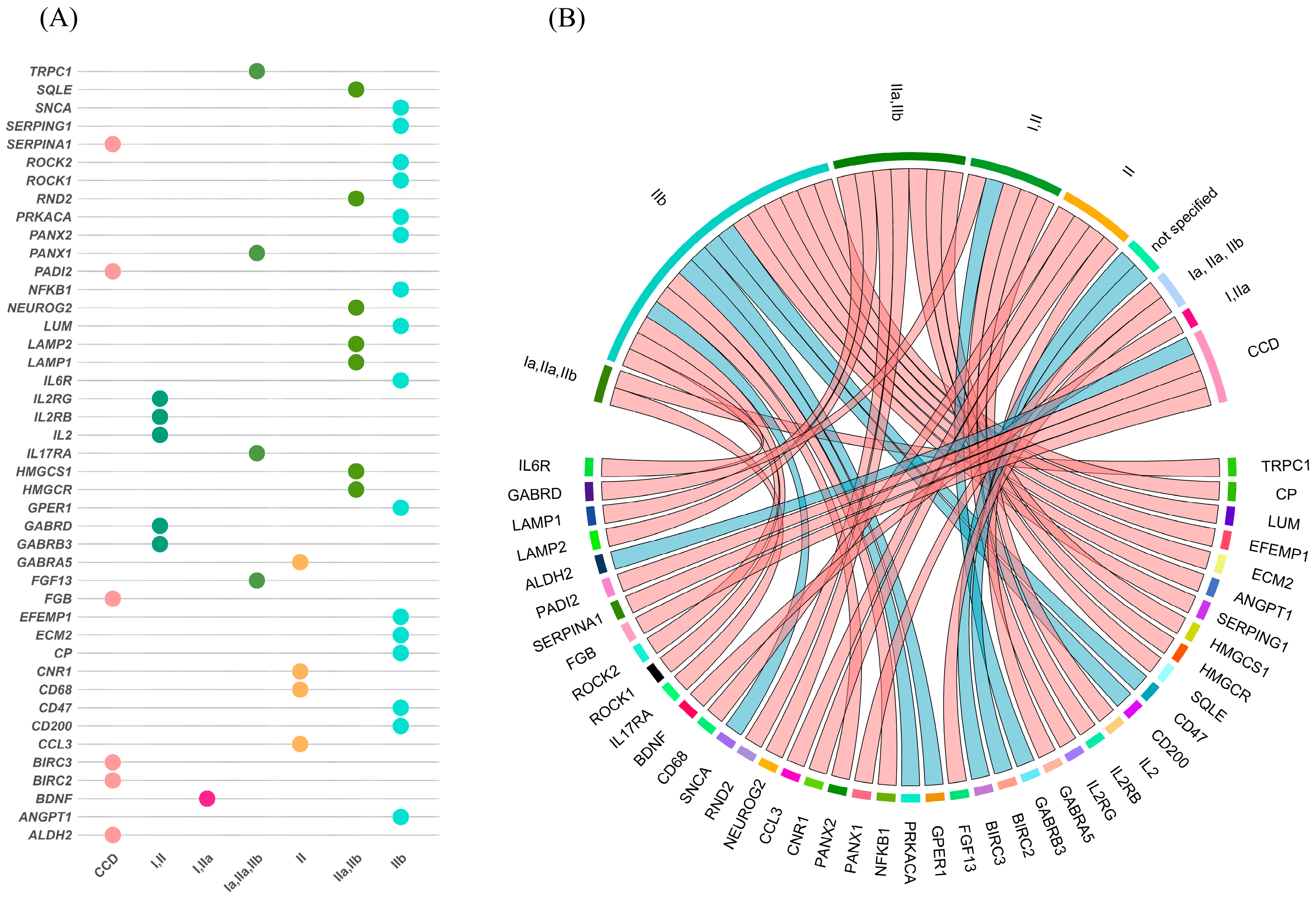Ijms 26 09909 g005 Ijms 26 09909 g005