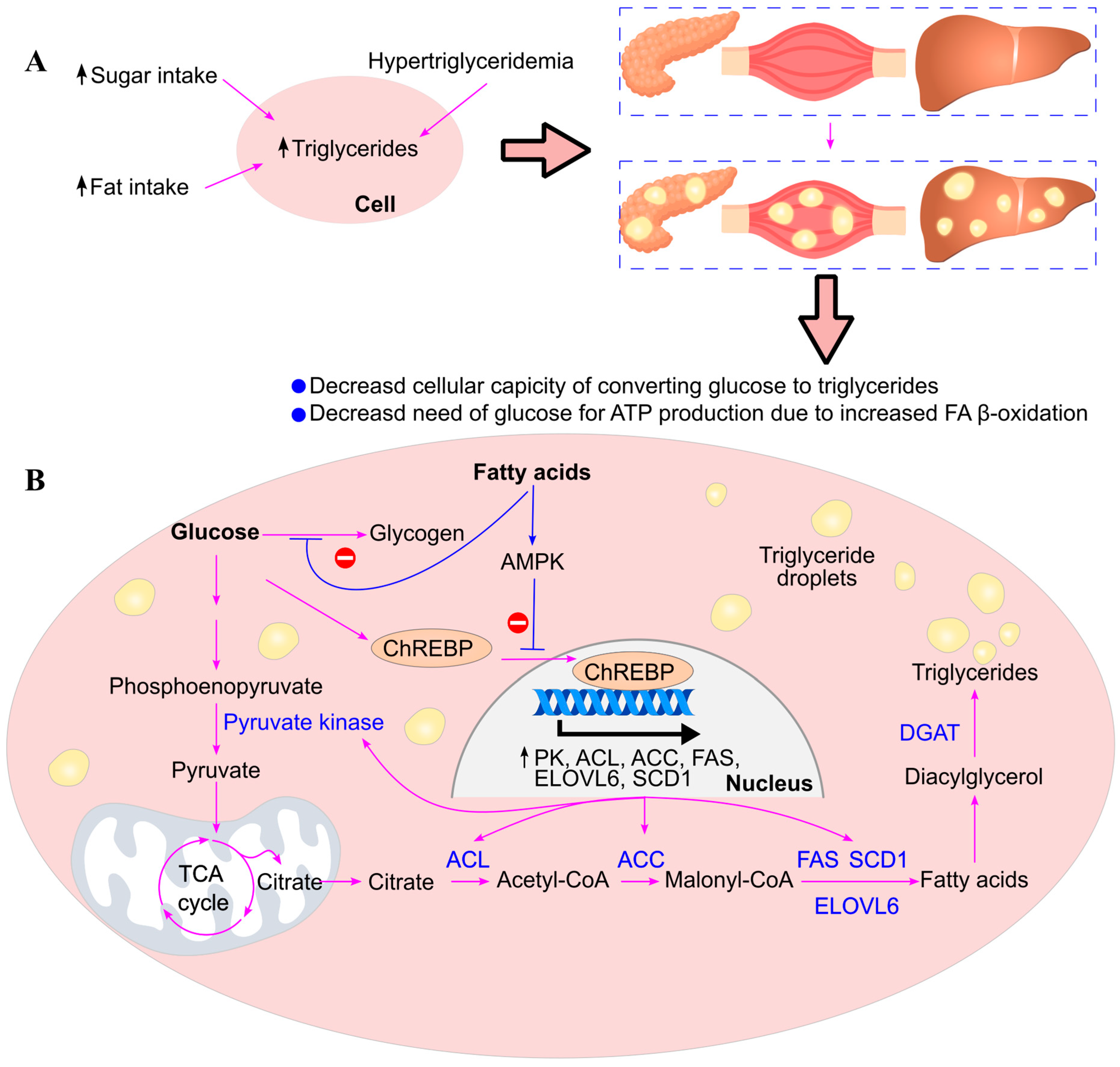 Ijms 26 09910 g015 Ijms 26 09910 g015