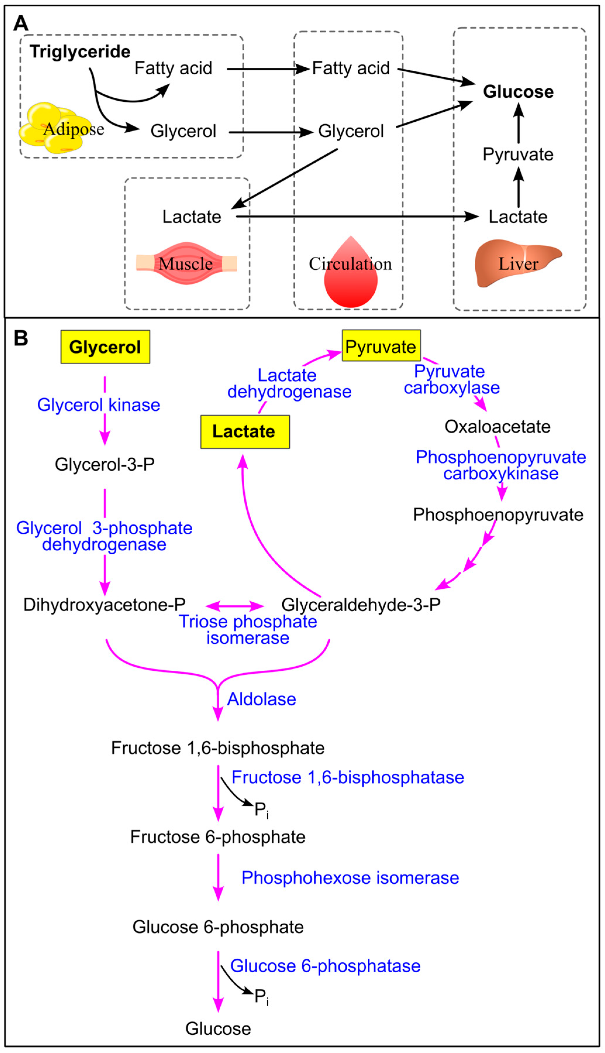 Ijms 26 09910 g020 Ijms 26 09910 g020