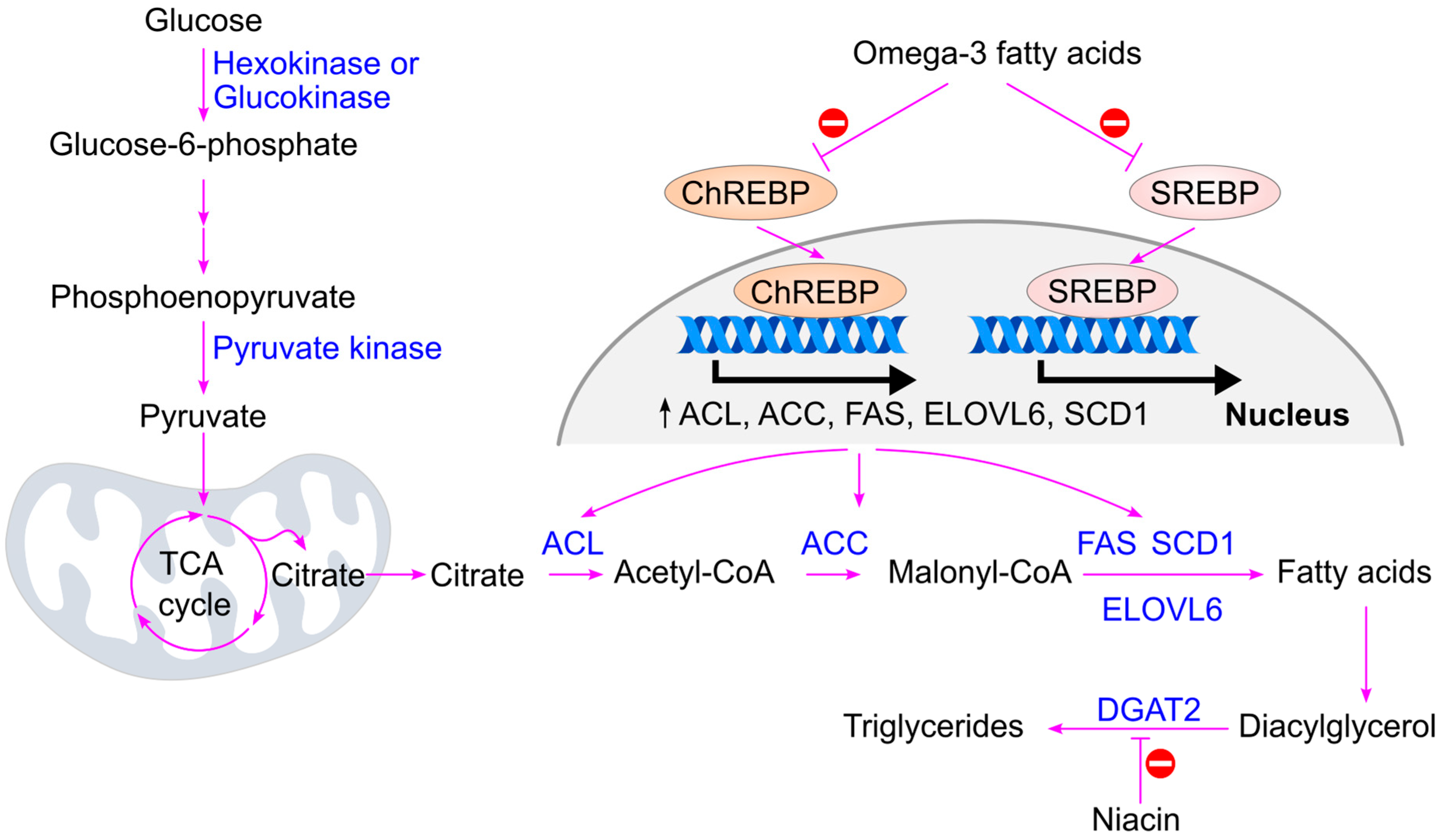 Ijms 26 09910 g024 Ijms 26 09910 g024