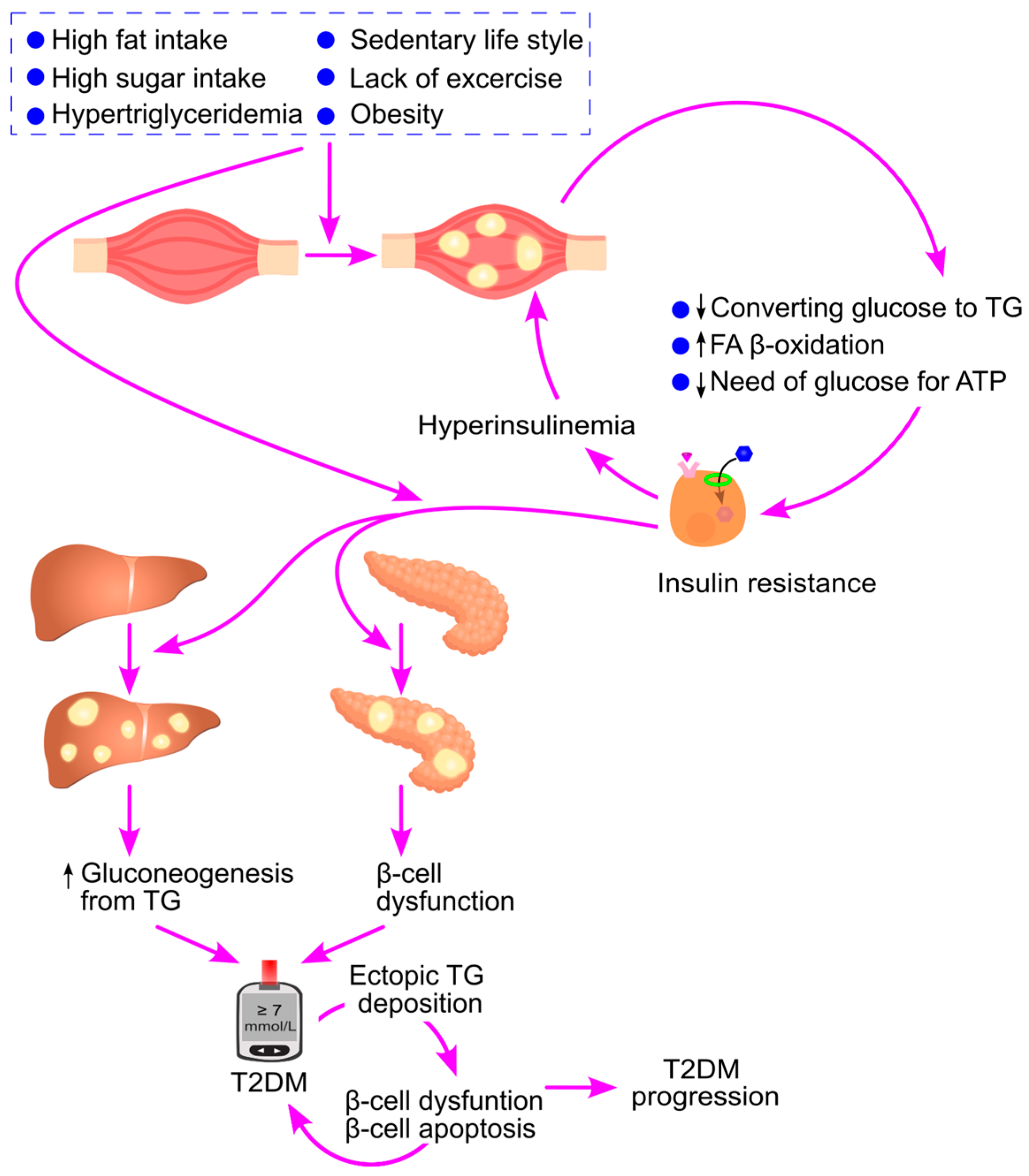 Ijms 26 09910 g026 Ijms 26 09910 g026