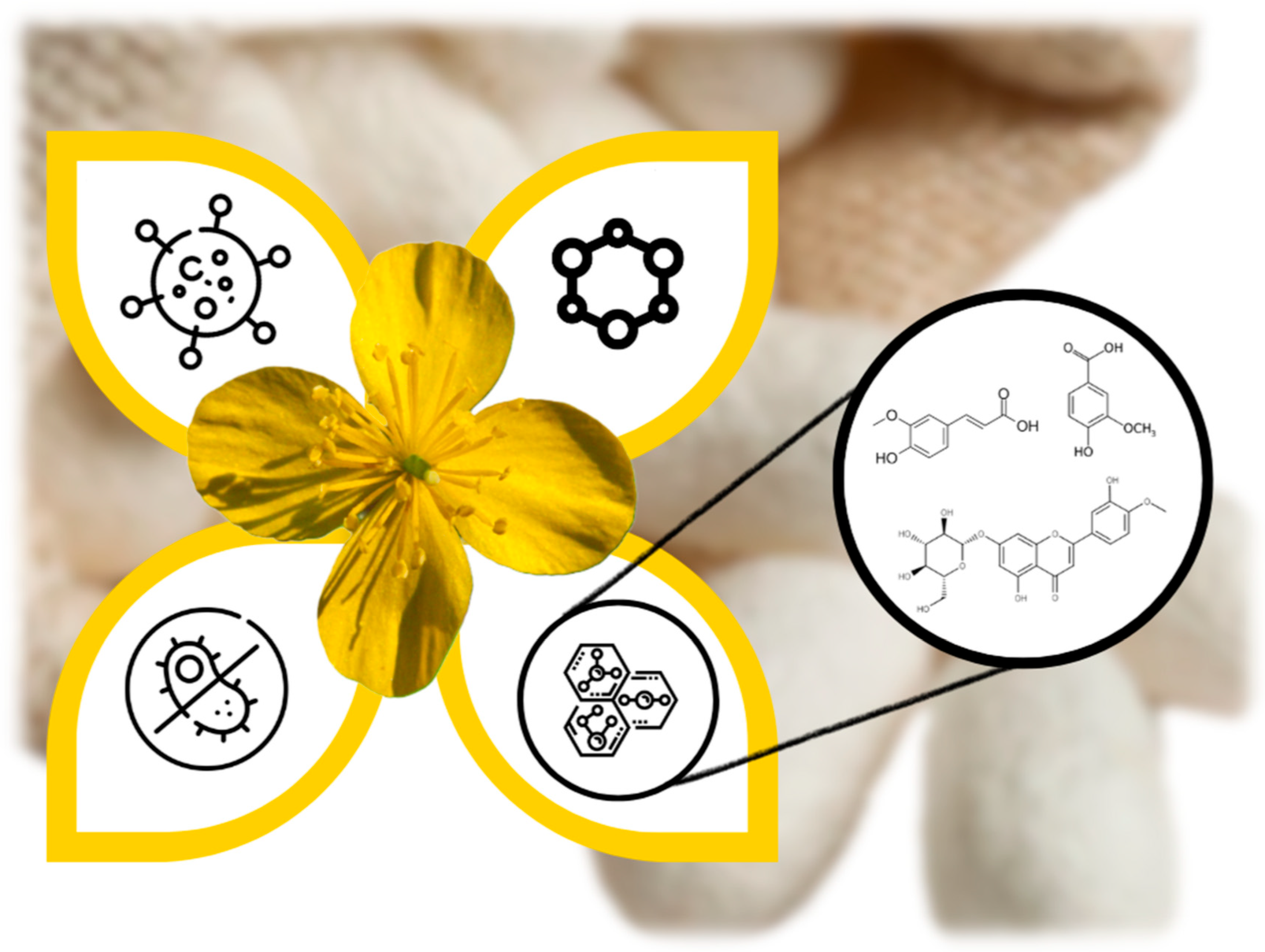 Ijms 26 09911 g001 Ijms 26 09911 g001