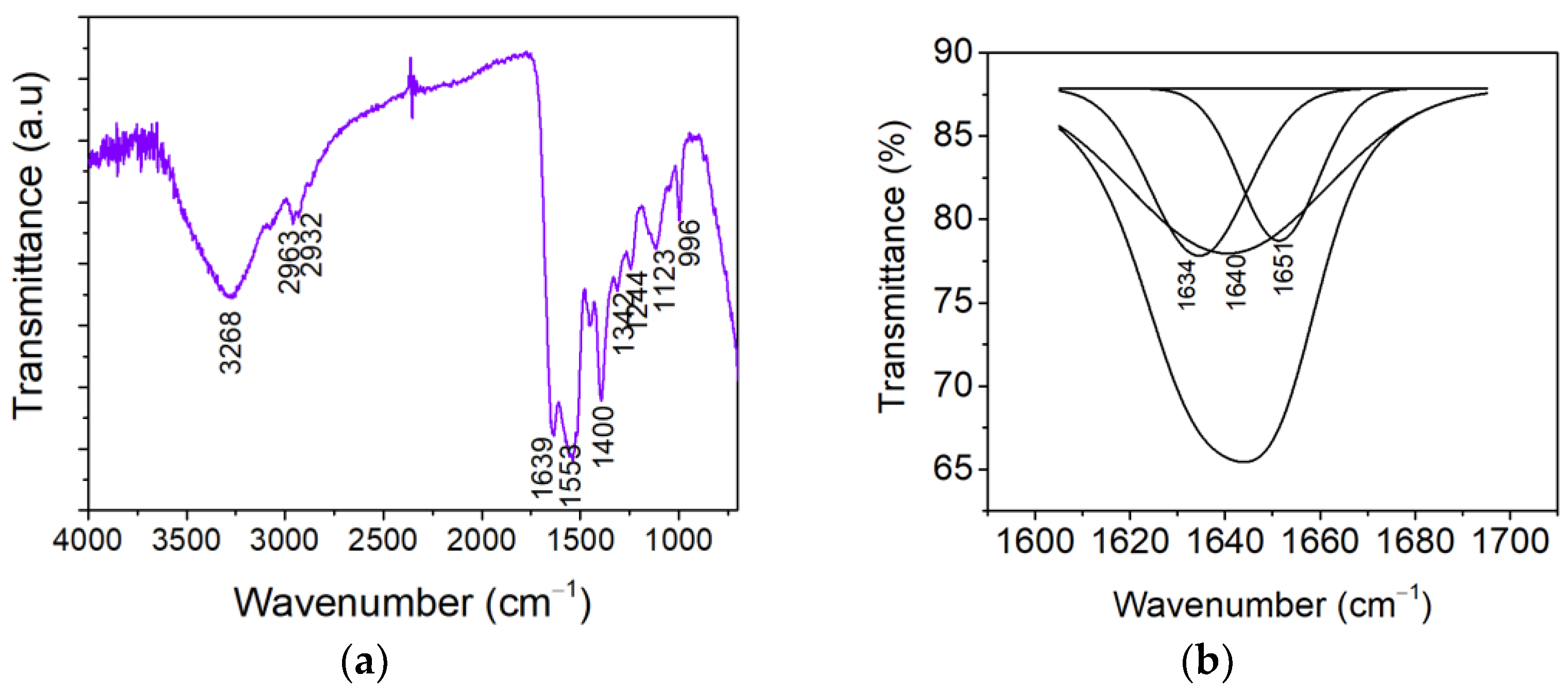 Ijms 26 09919 g002 Ijms 26 09919 g002