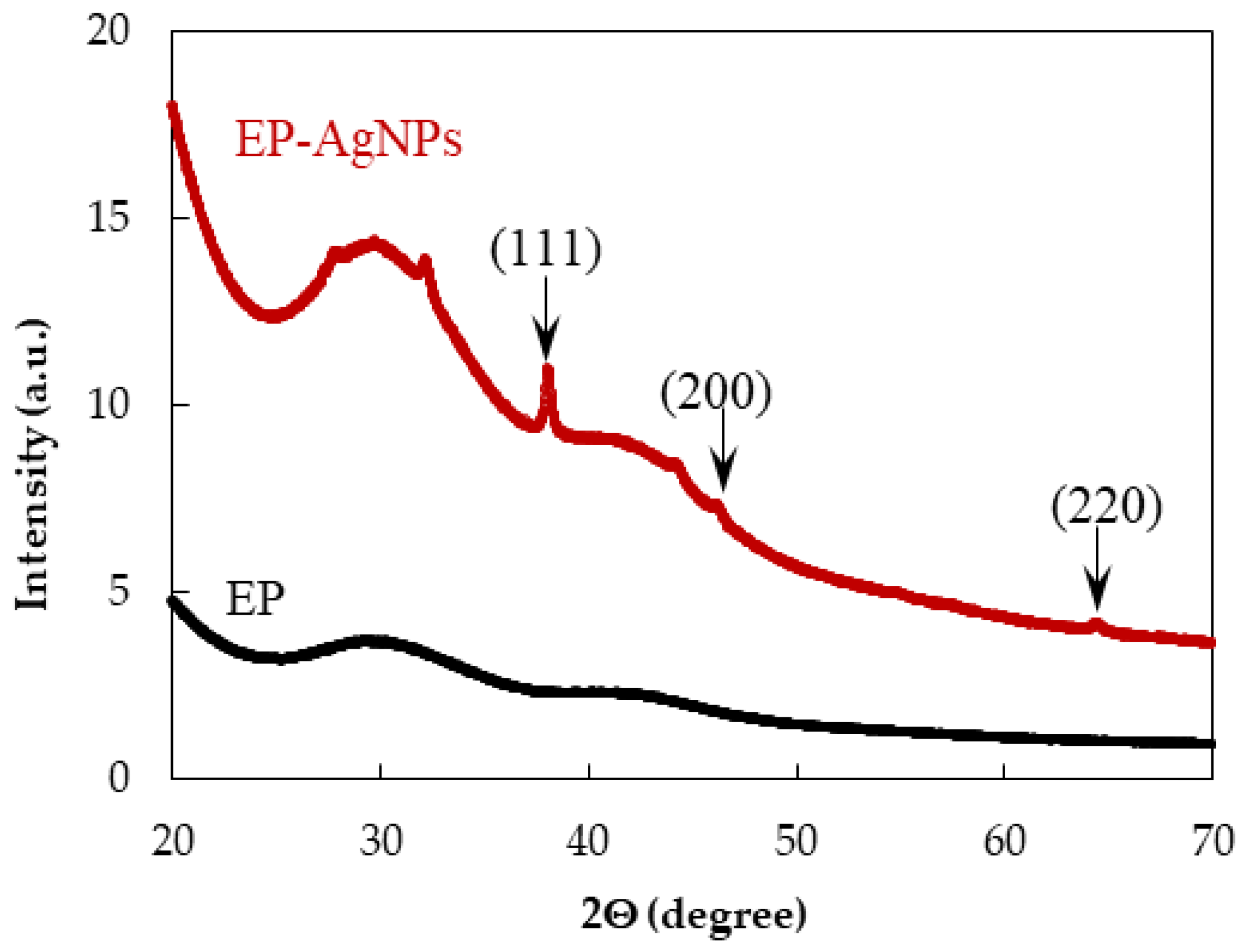 Ijms 26 09919 g005 Ijms 26 09919 g005