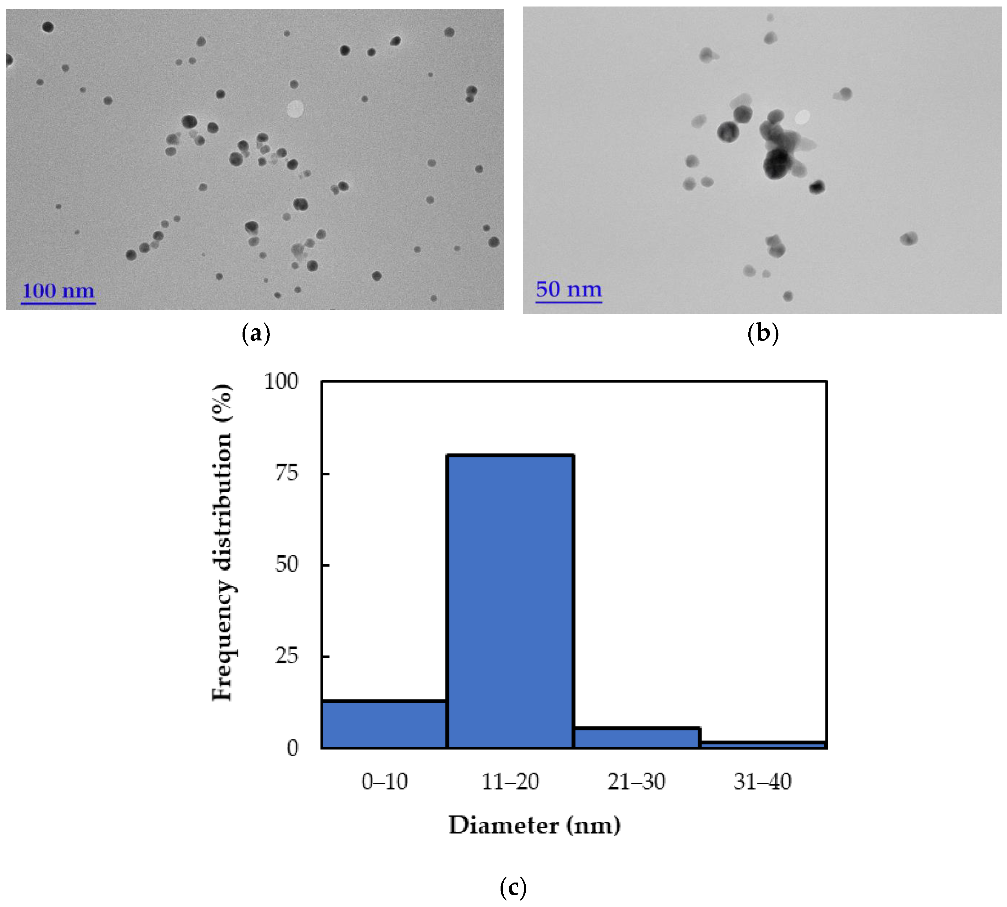 Ijms 26 09919 g006 Ijms 26 09919 g006