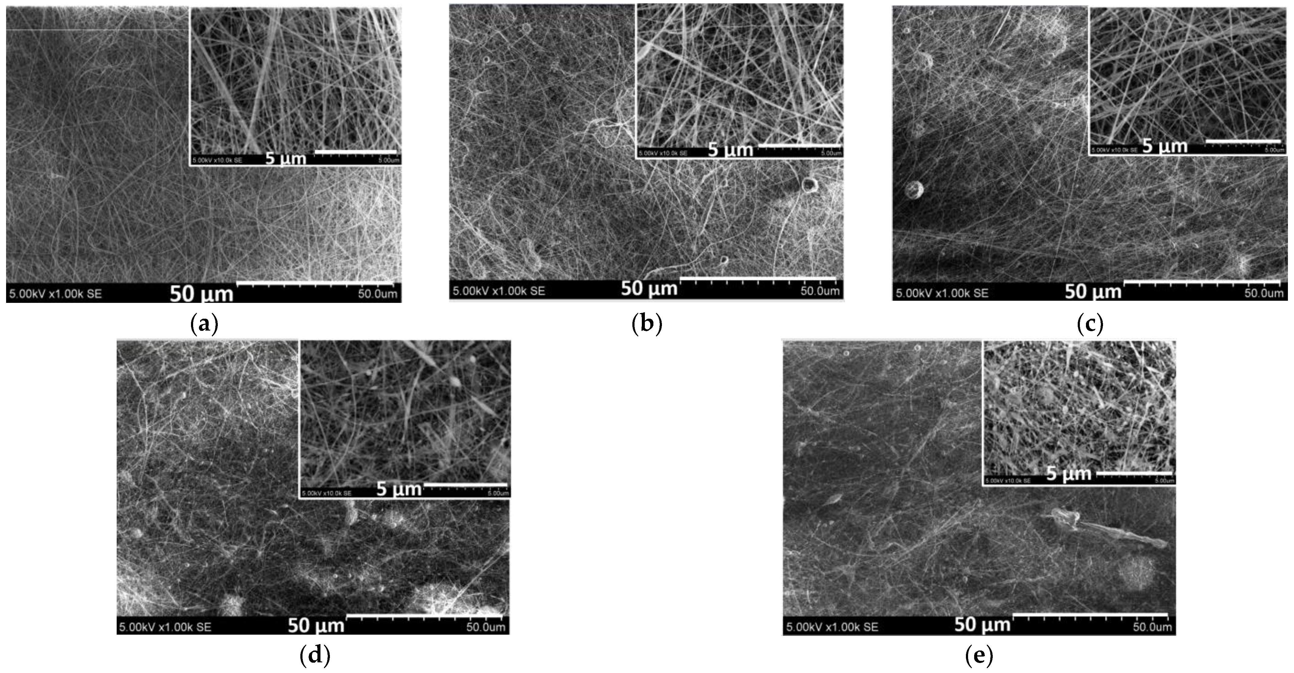 Ijms 26 09919 g008 Ijms 26 09919 g008