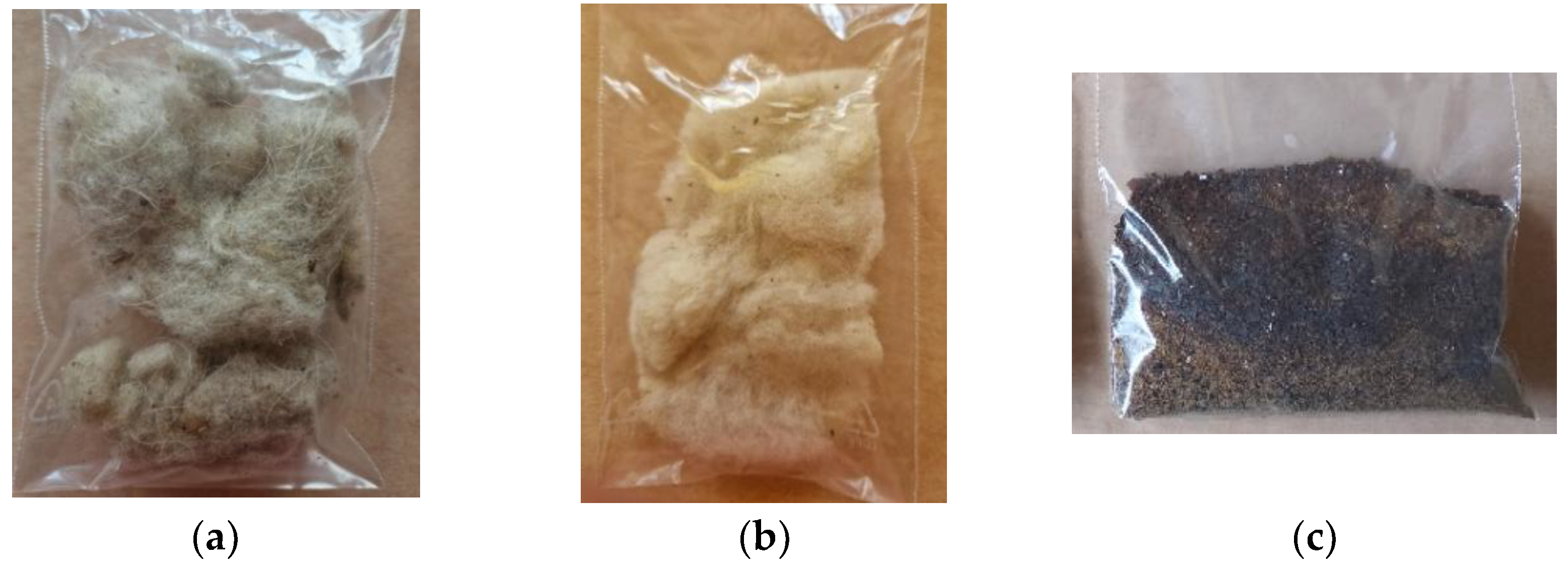 Ijms 26 09919 g011 Ijms 26 09919 g011