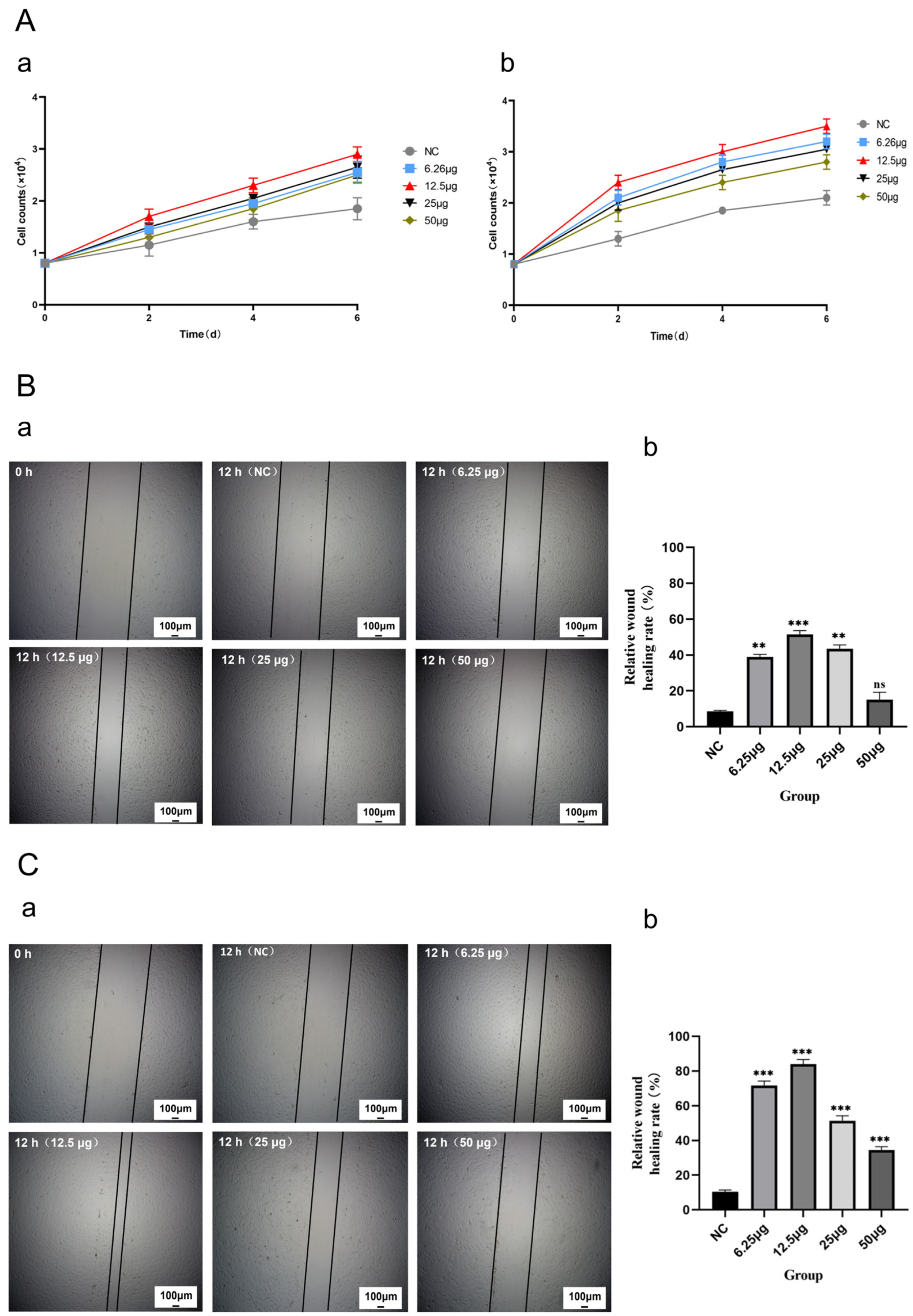 Ijms 26 09929 g003 Ijms 26 09929 g003