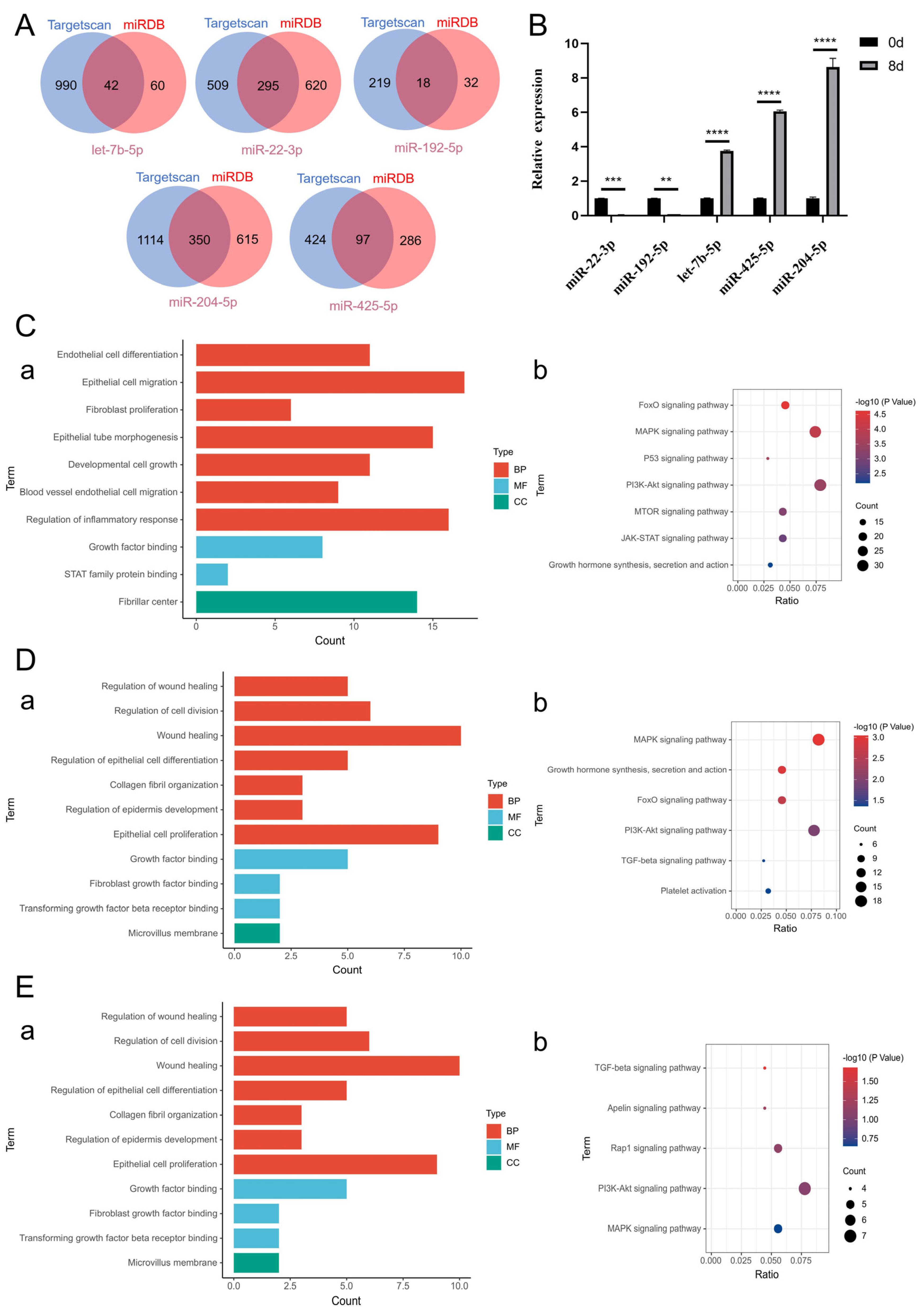 Ijms 26 09929 g005 Ijms 26 09929 g005