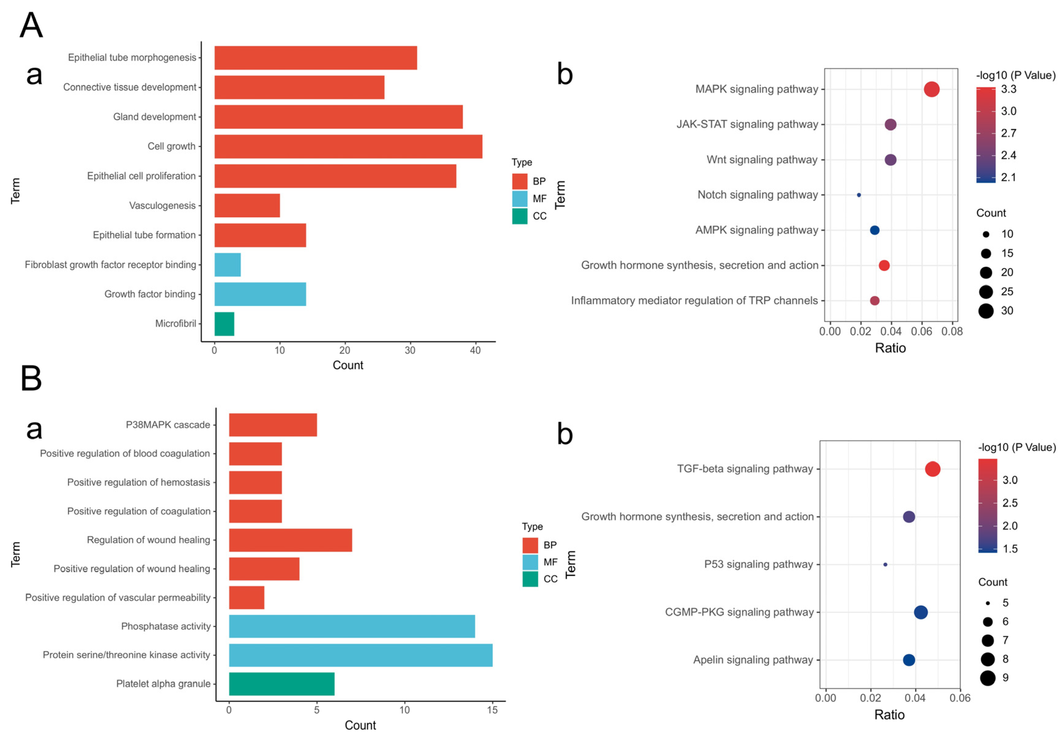Ijms 26 09929 g006 Ijms 26 09929 g006