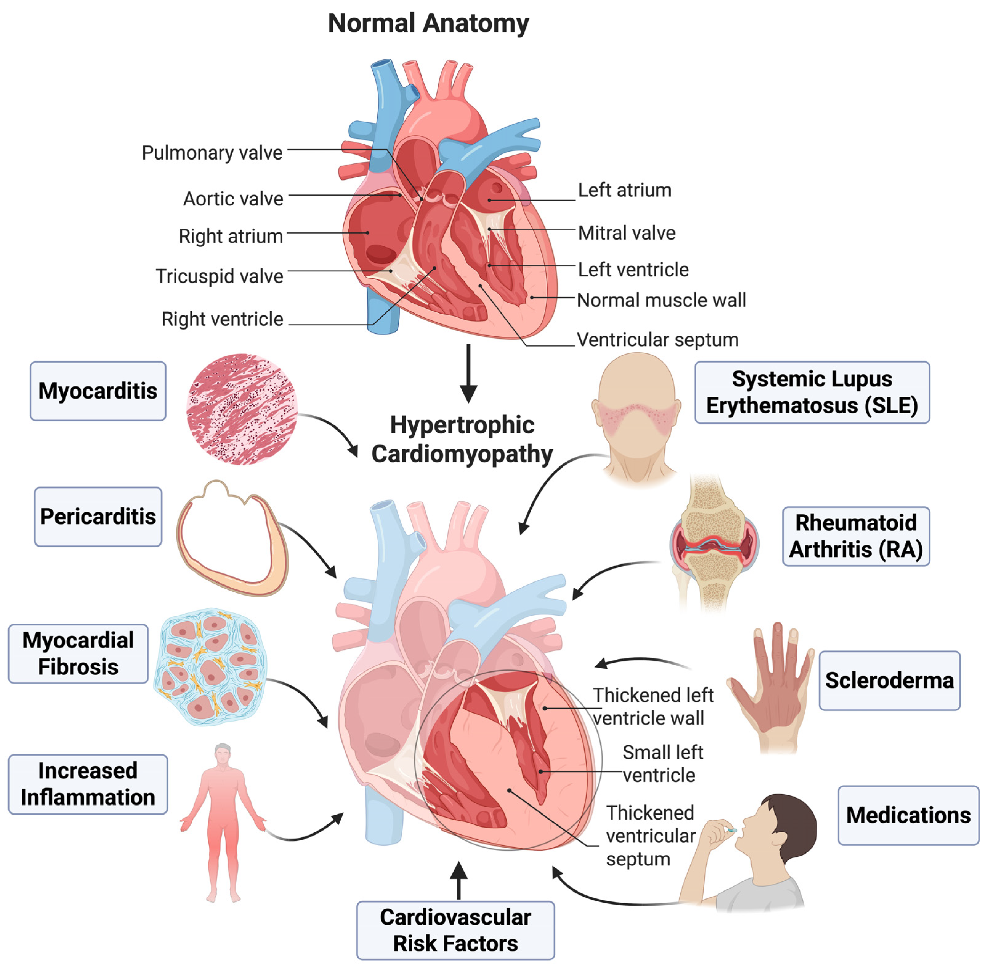 Ijms 26 09931 g001 Ijms 26 09931 g001