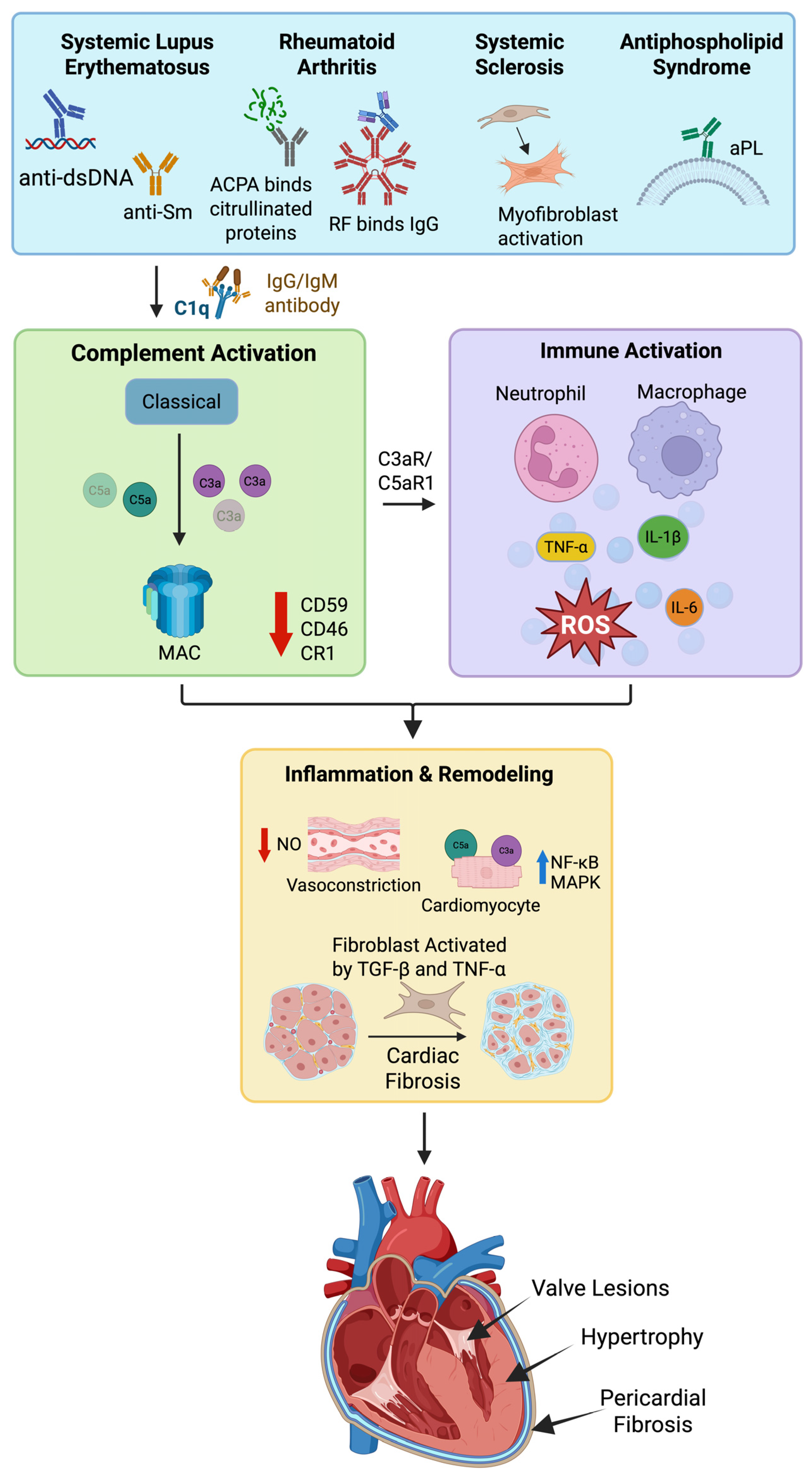 Ijms 26 09931 g003 Ijms 26 09931 g003