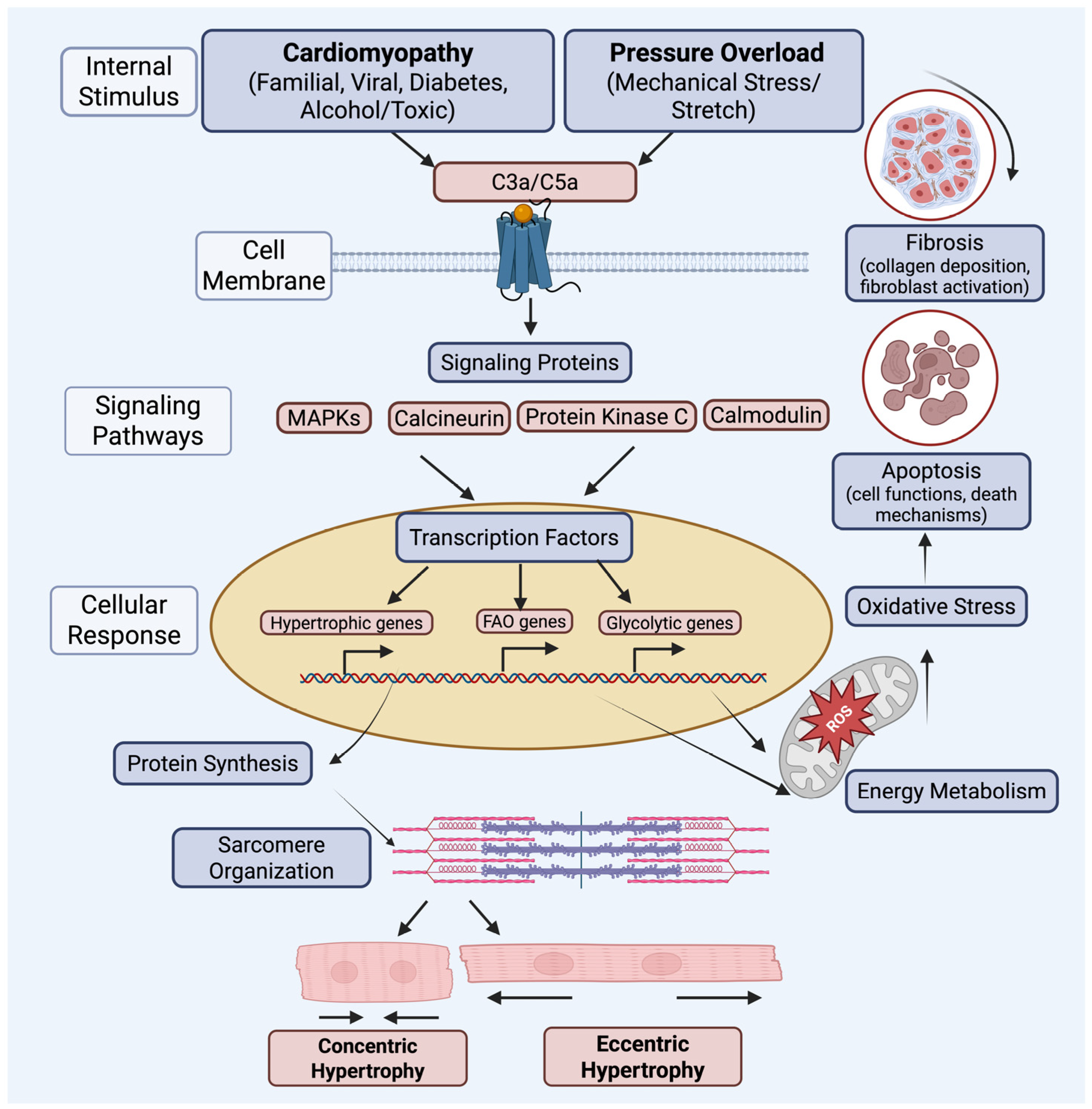 Ijms 26 09931 g004 Ijms 26 09931 g004