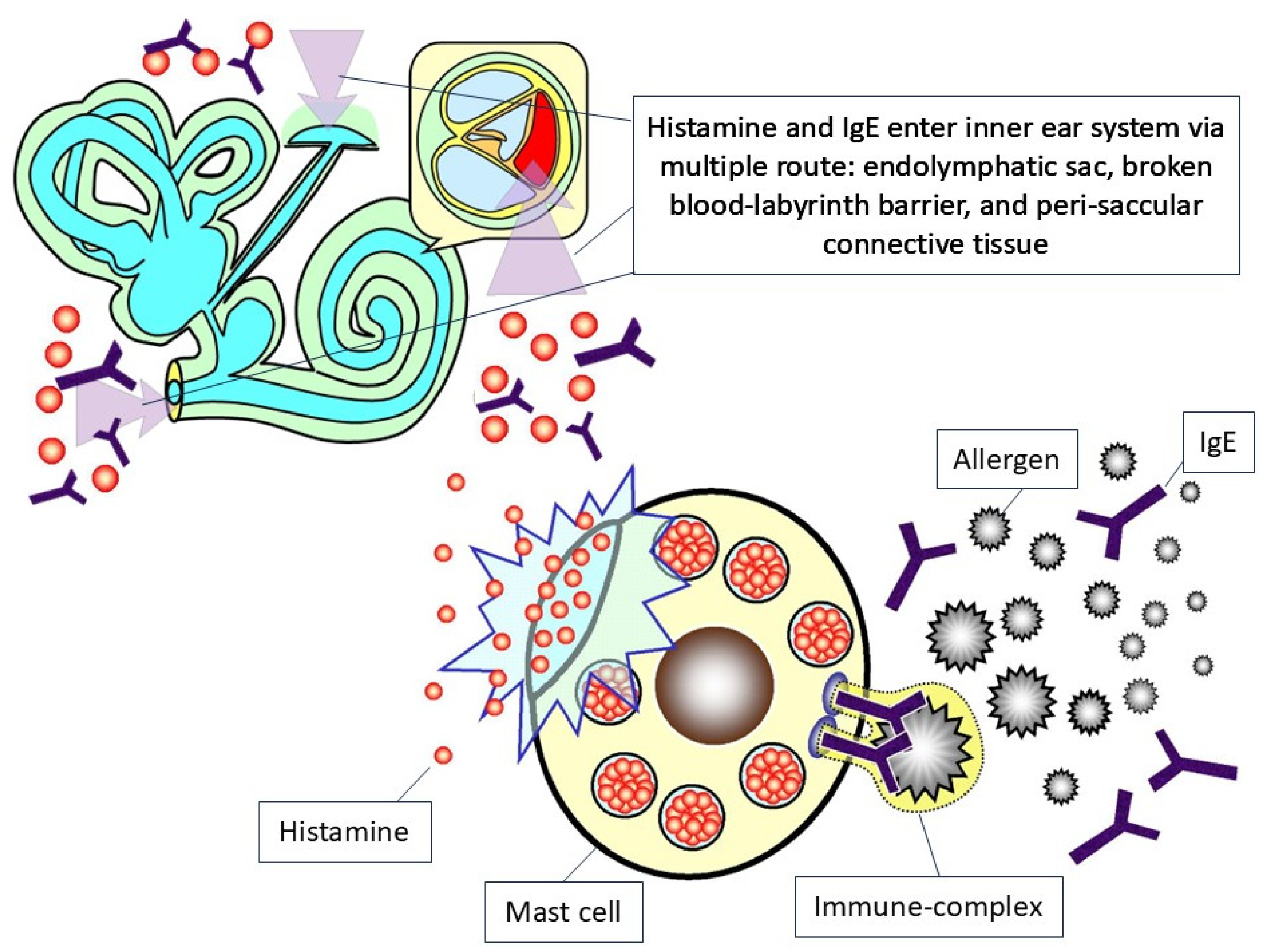 Ijms 26 09932 g002 Ijms 26 09932 g002