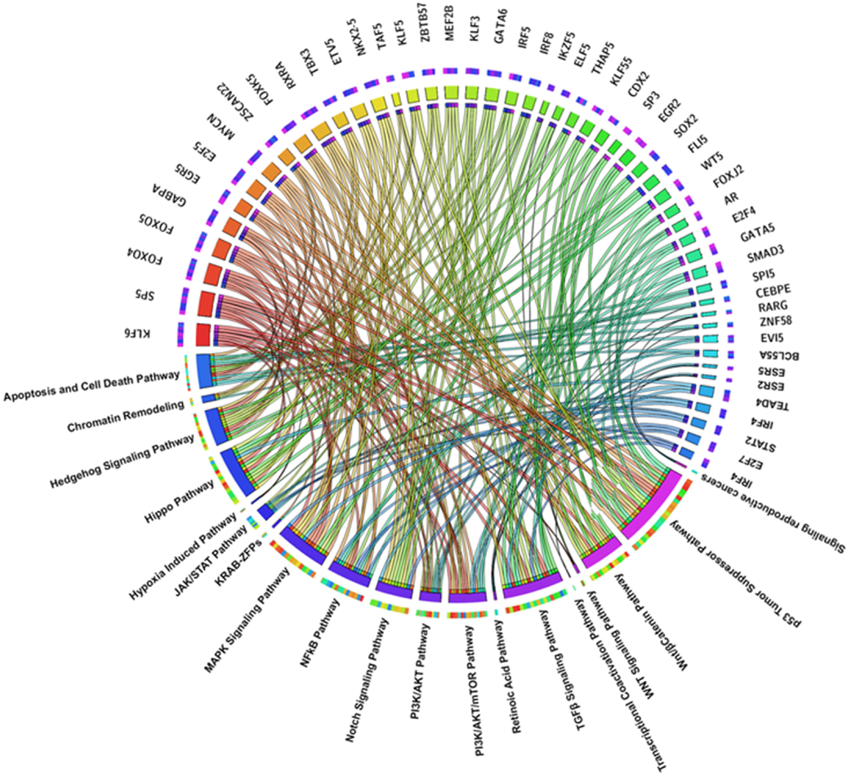 Ijms 26 09933 g001 Ijms 26 09933 g001