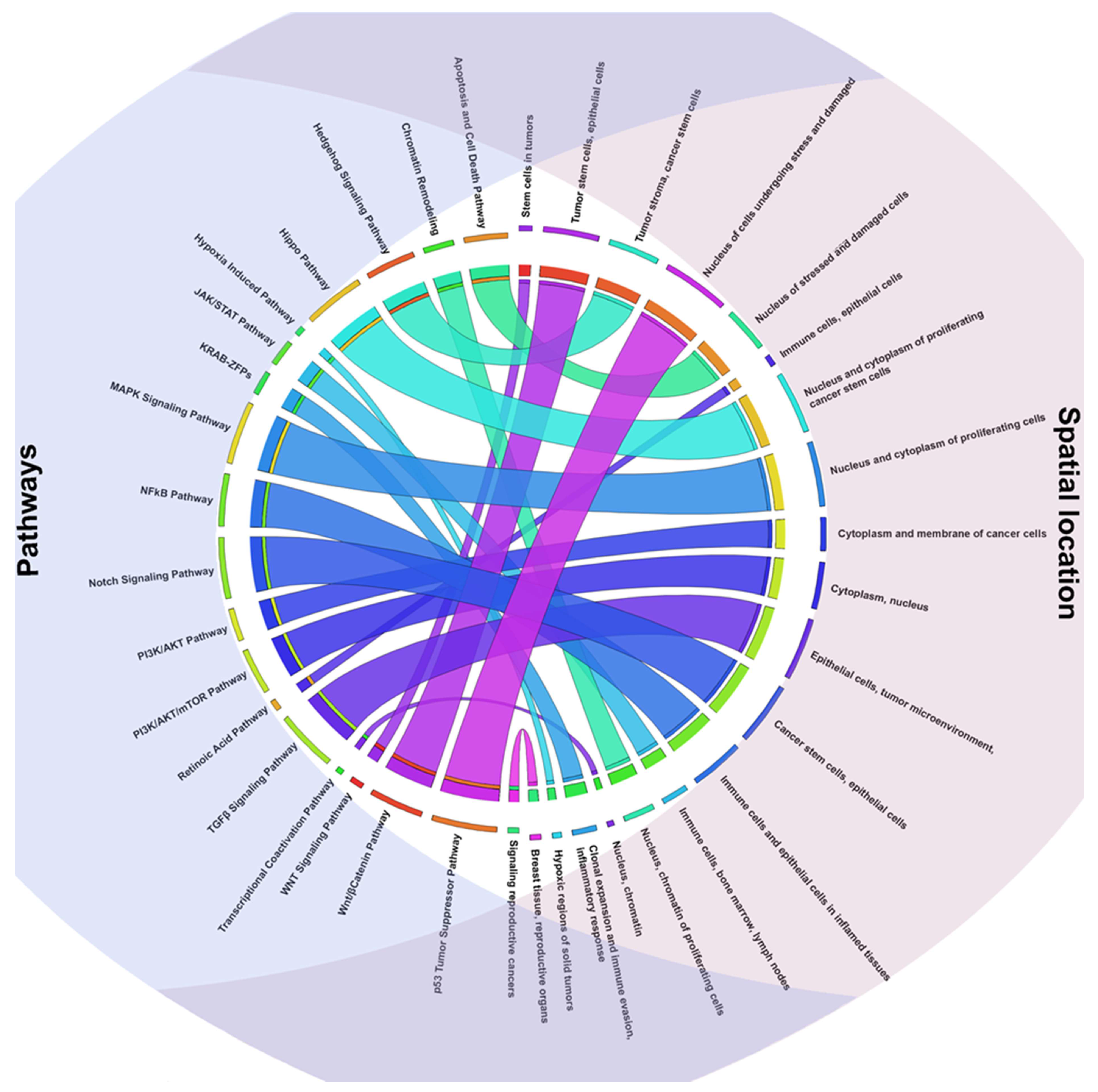Ijms 26 09933 g002 Ijms 26 09933 g002