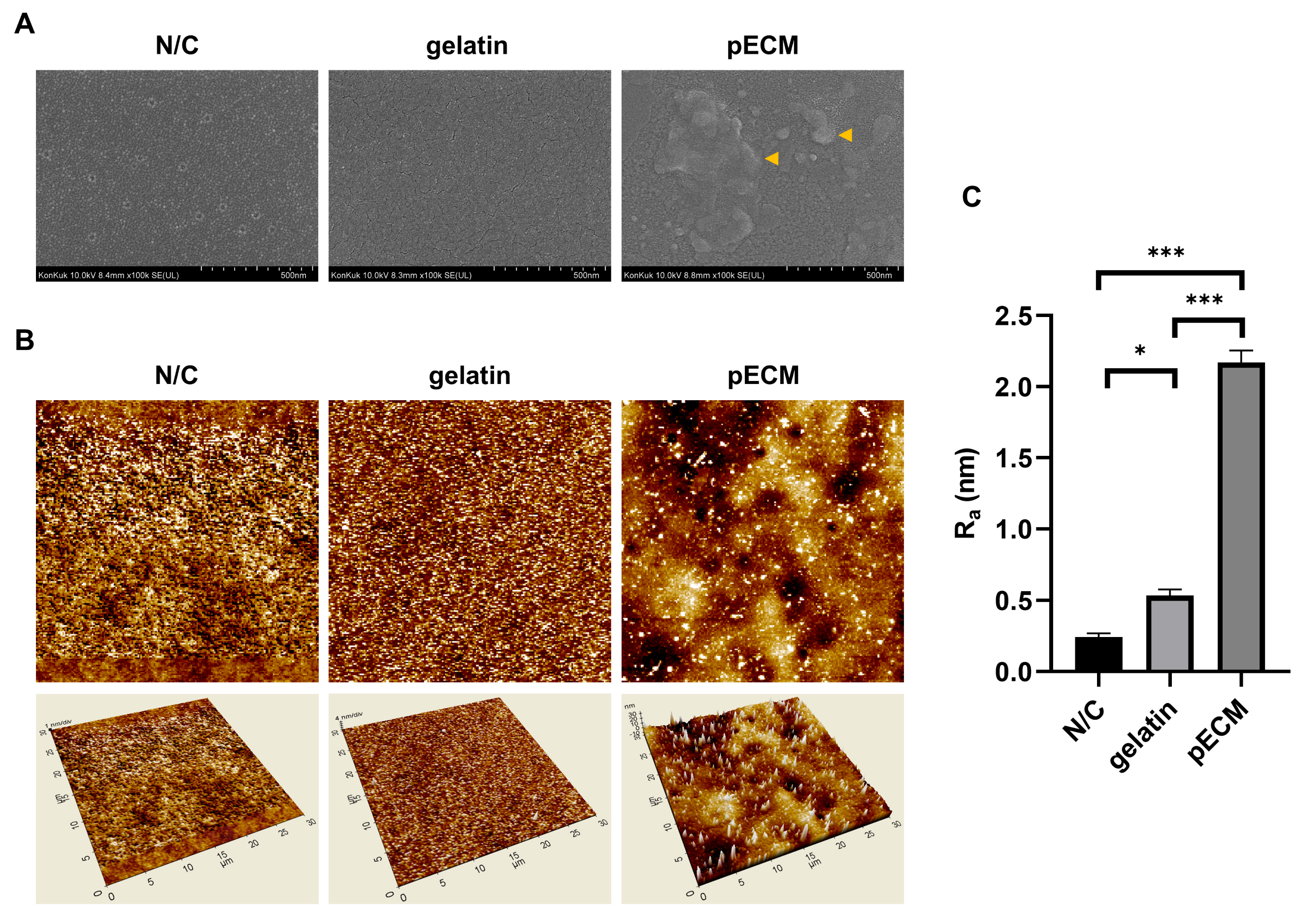 Ijms 26 09937 g002 Ijms 26 09937 g002