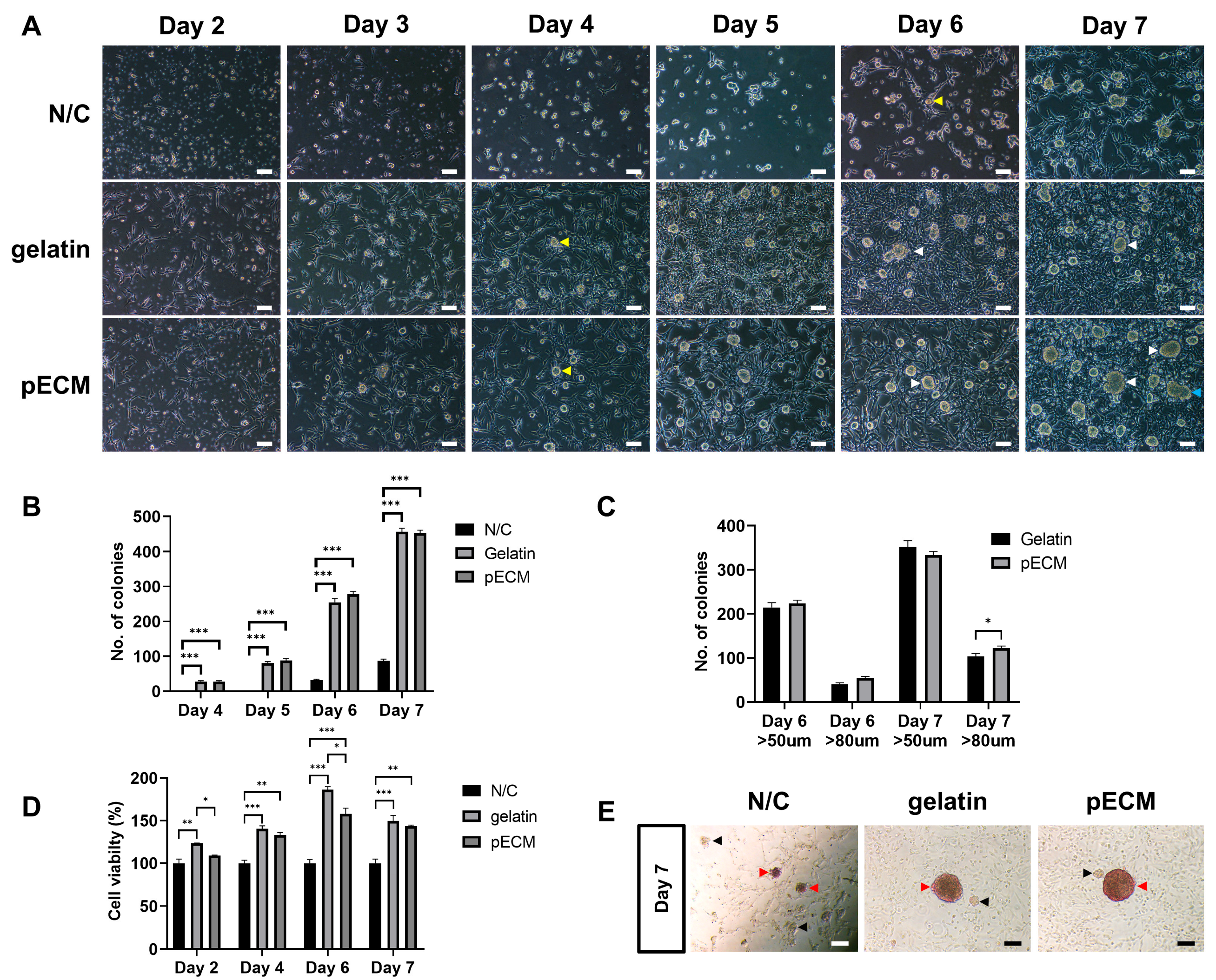 Ijms 26 09937 g003 Ijms 26 09937 g003