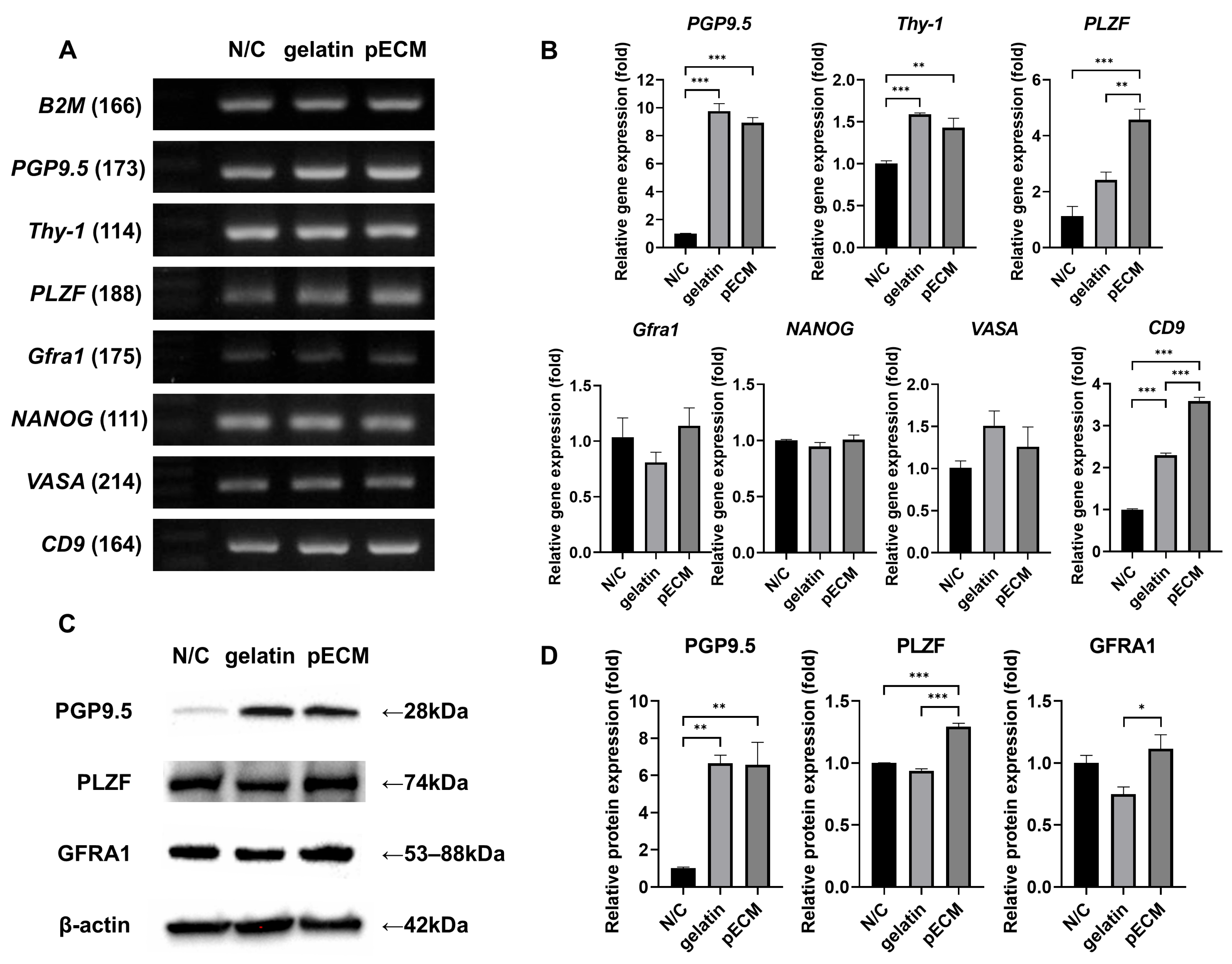 Ijms 26 09937 g005 Ijms 26 09937 g005