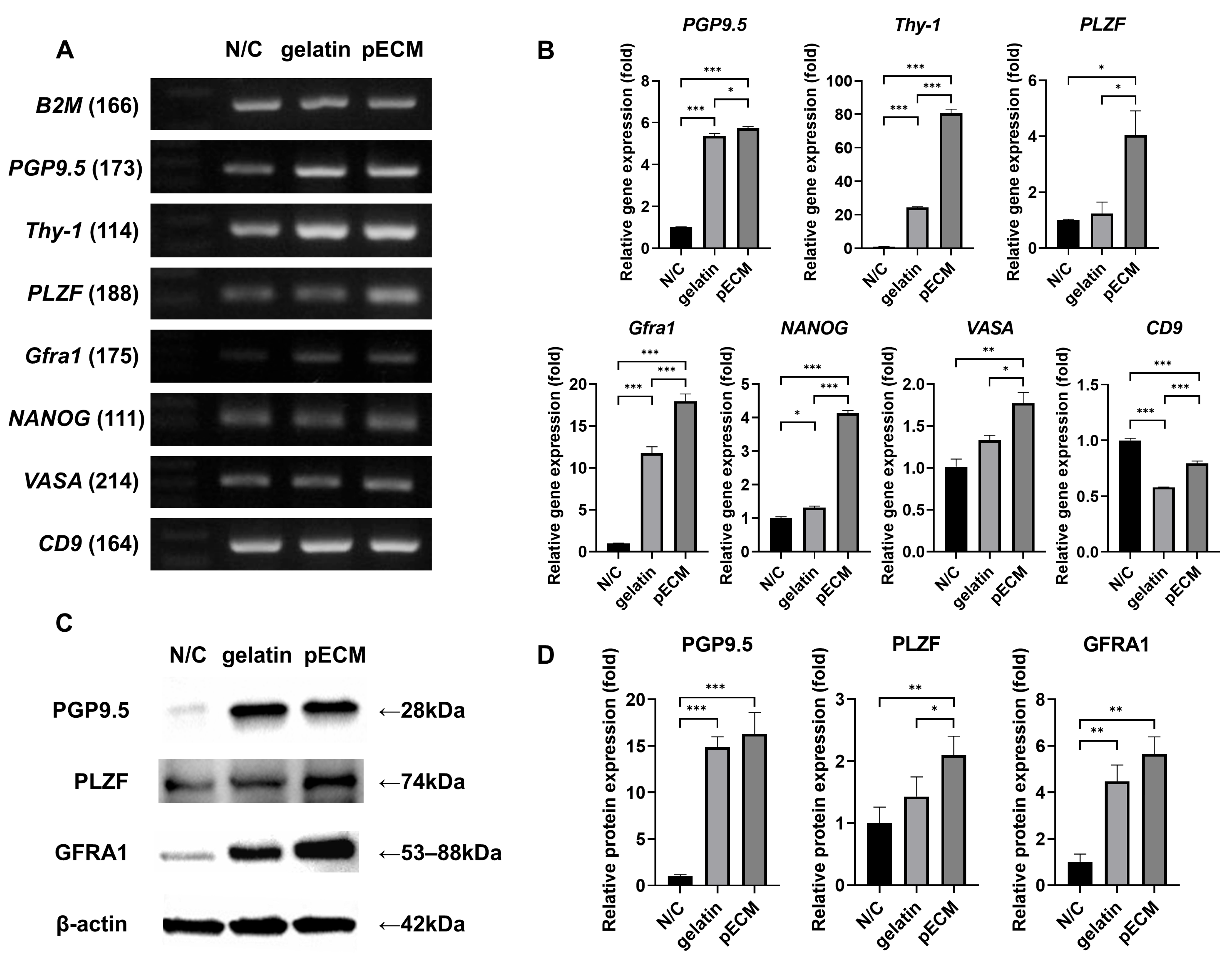 Ijms 26 09937 g006 Ijms 26 09937 g006