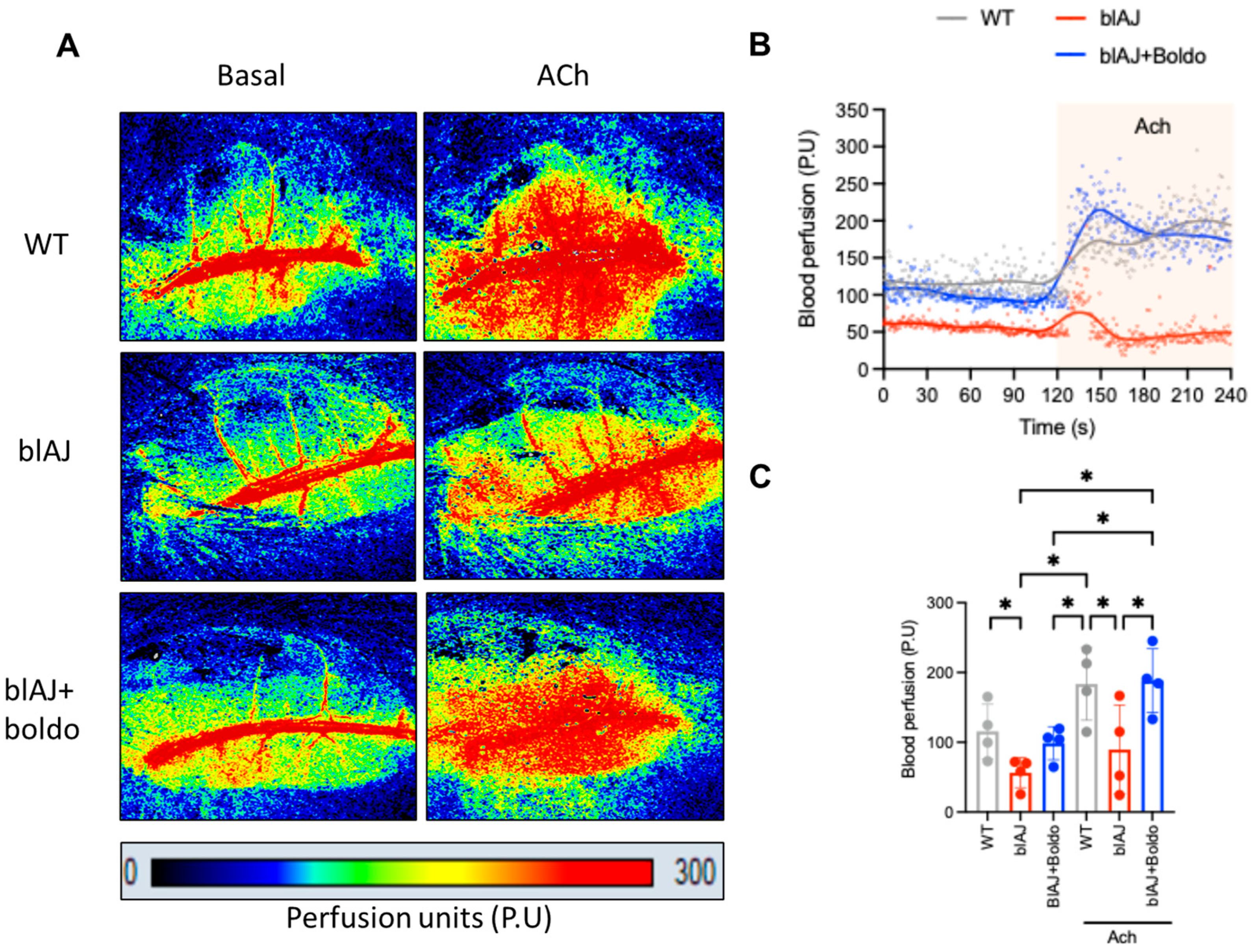 Ijms 26 09945 g002 Ijms 26 09945 g002