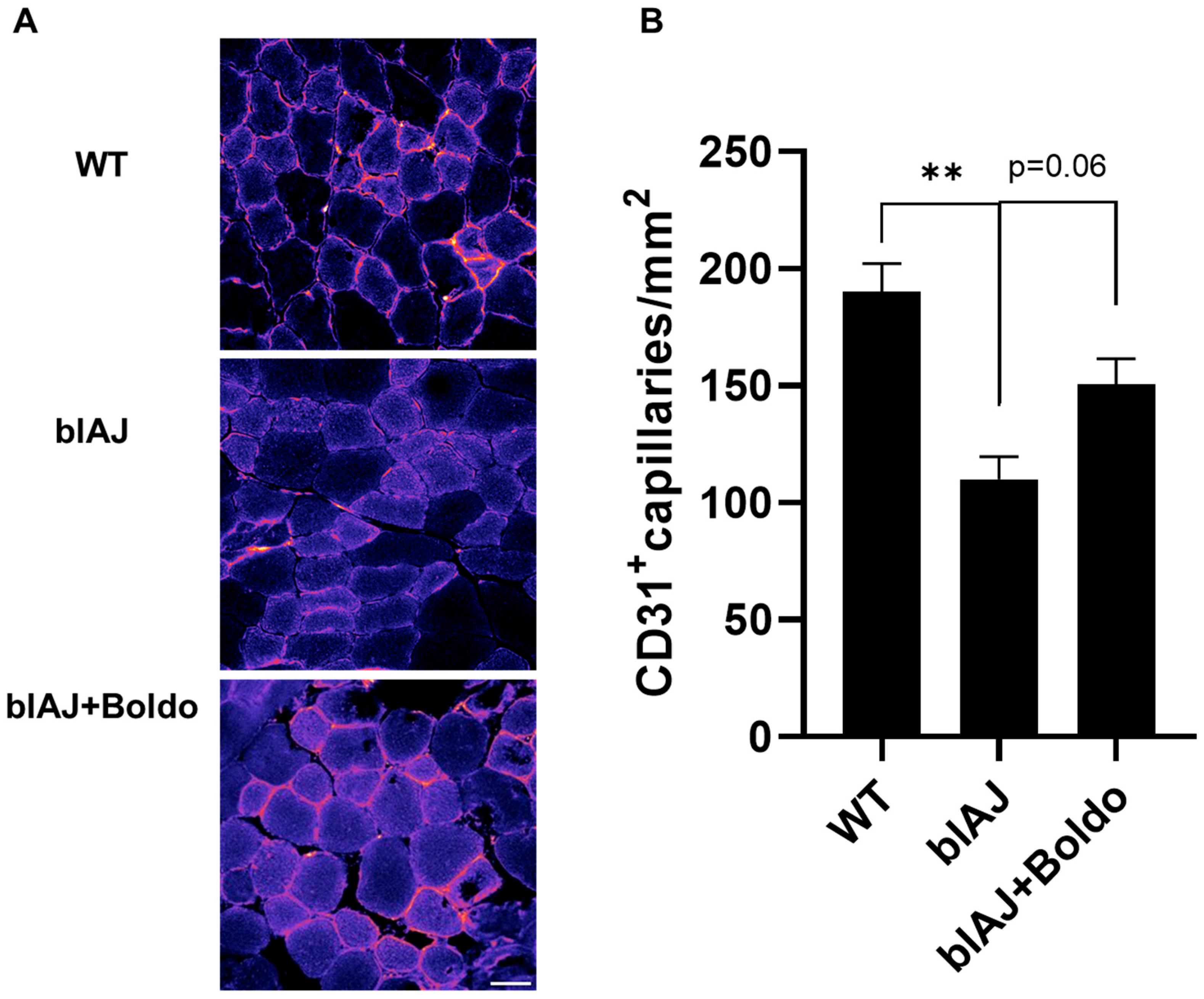 Ijms 26 09945 g003 Ijms 26 09945 g003