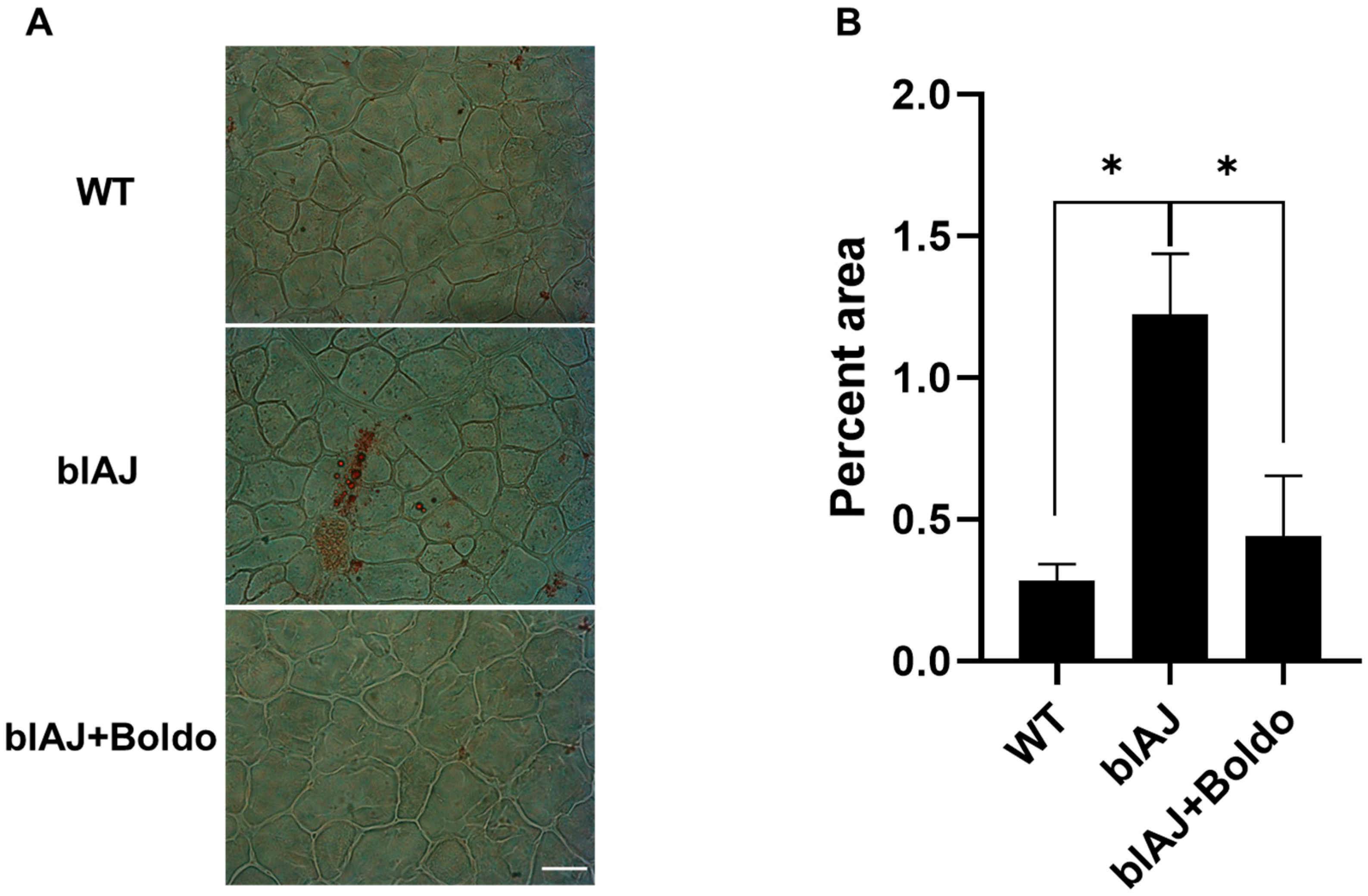 Ijms 26 09945 g005 Ijms 26 09945 g005