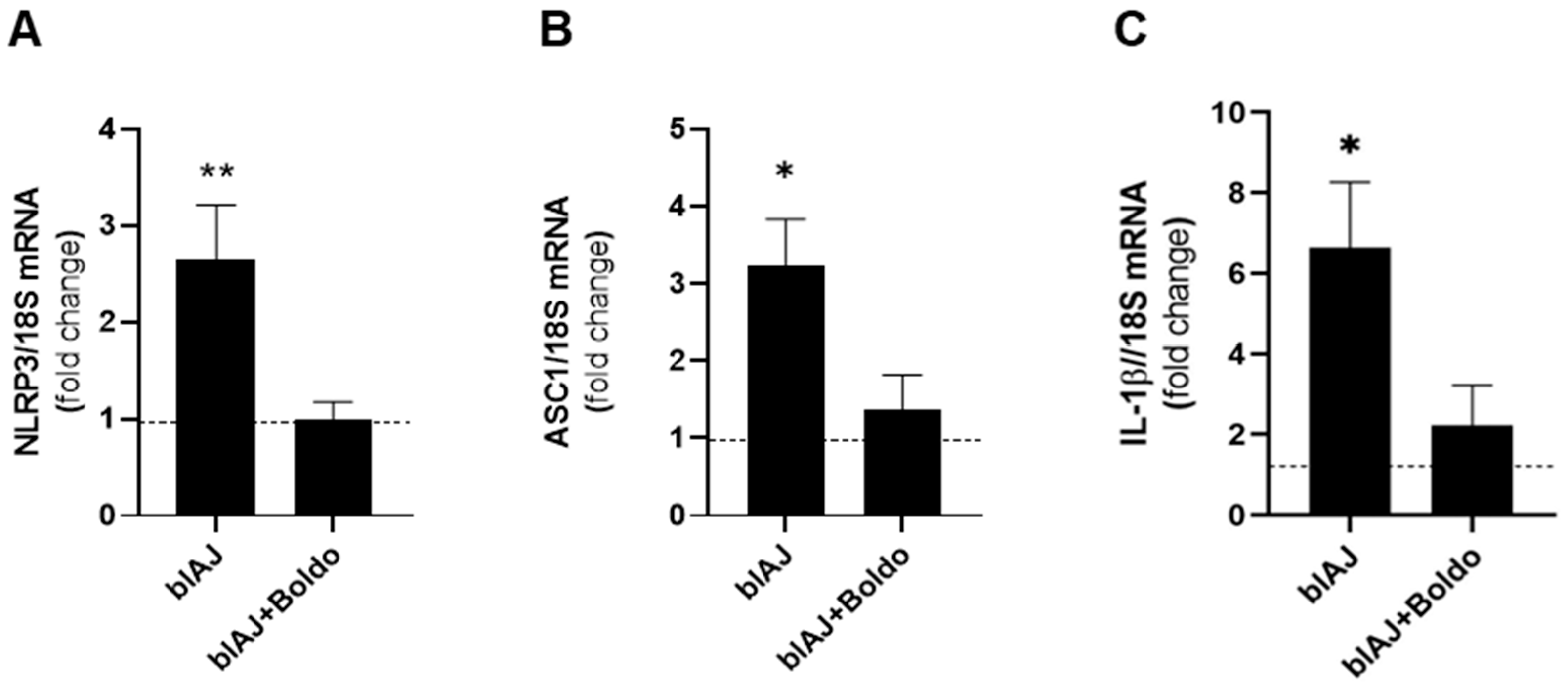 Ijms 26 09945 g008 Ijms 26 09945 g008