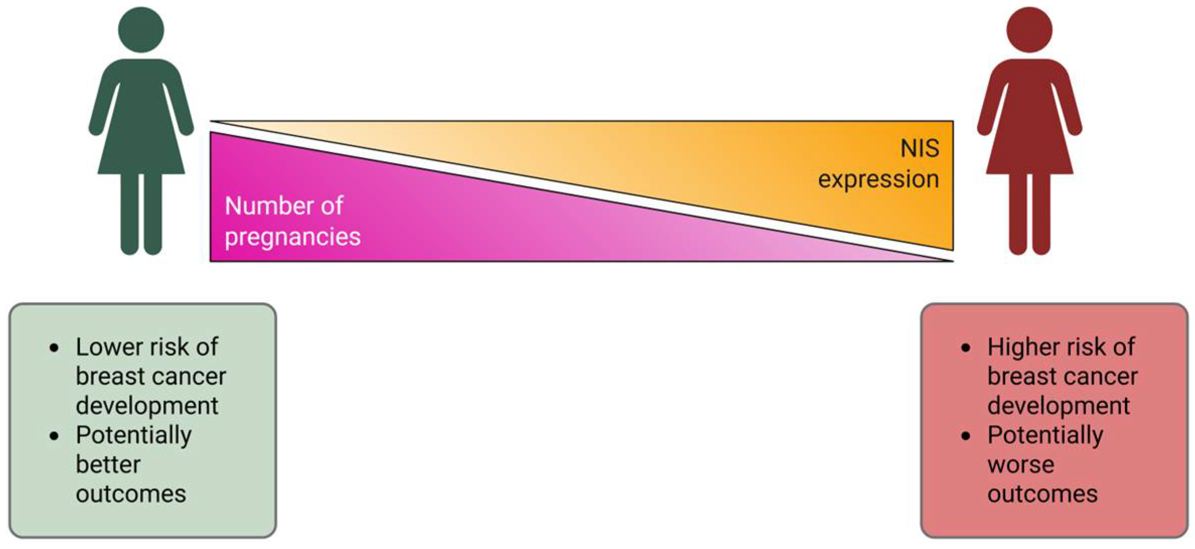 Ijms 26 09947 g007 Ijms 26 09947 g007