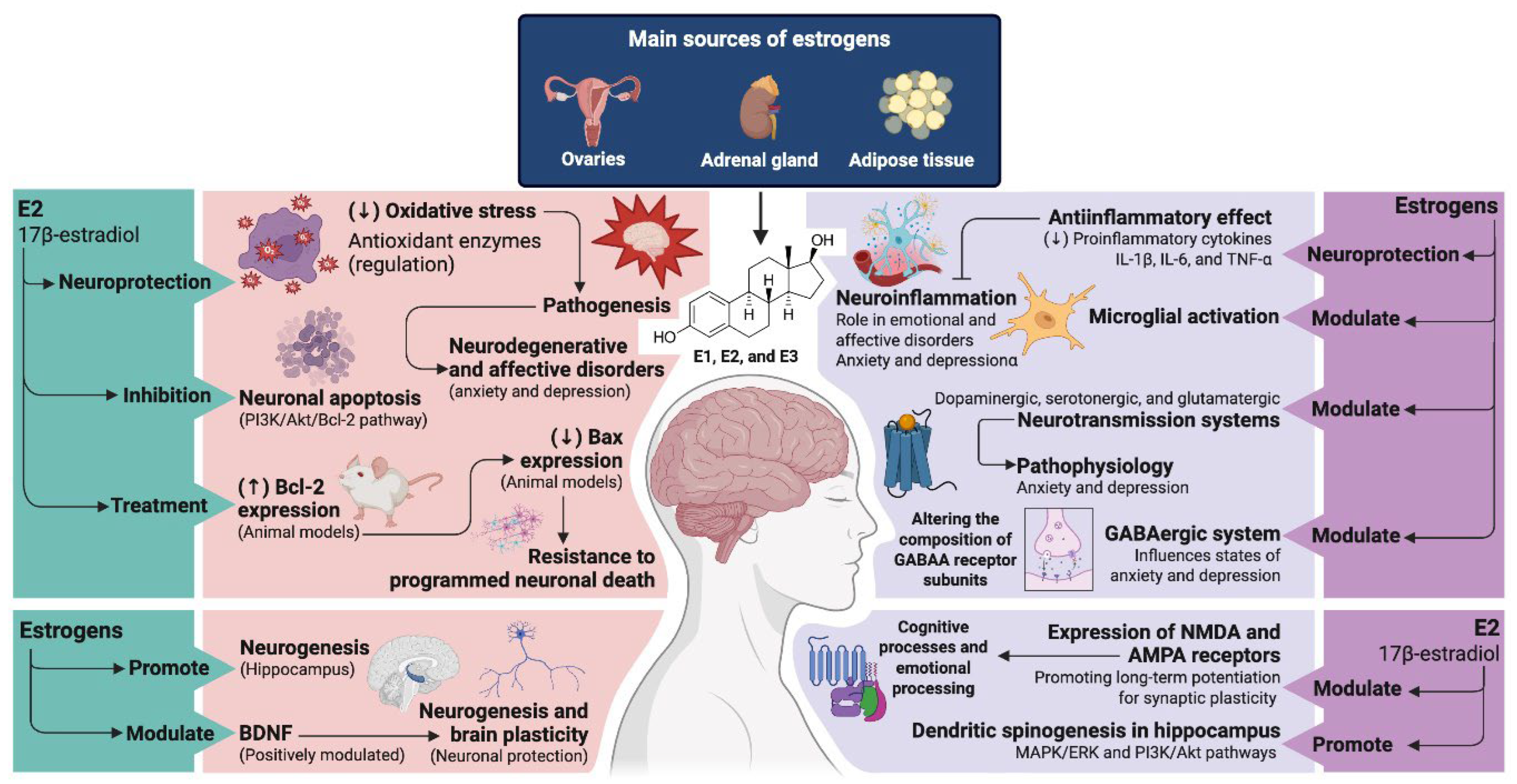 Ijms 26 09948 g001 Ijms 26 09948 g001