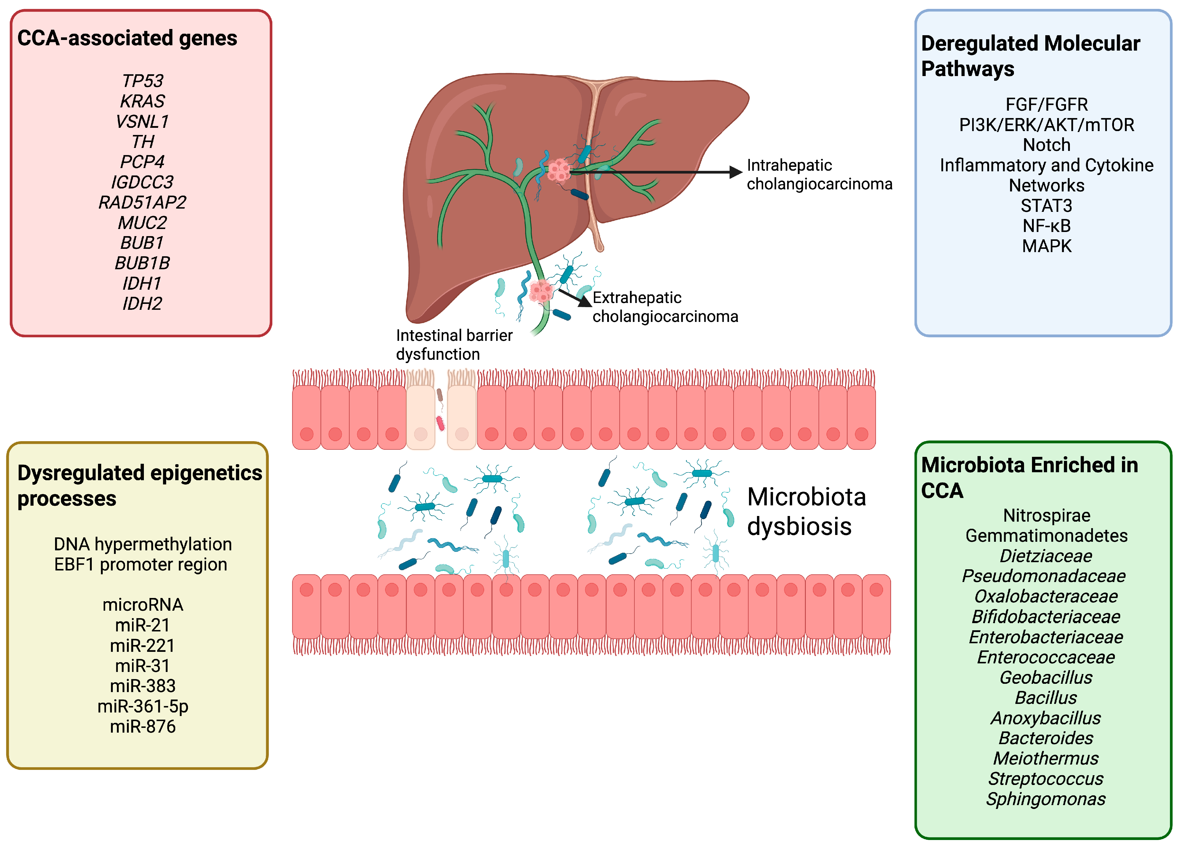 Ijms 26 09949 g001 Ijms 26 09949 g001