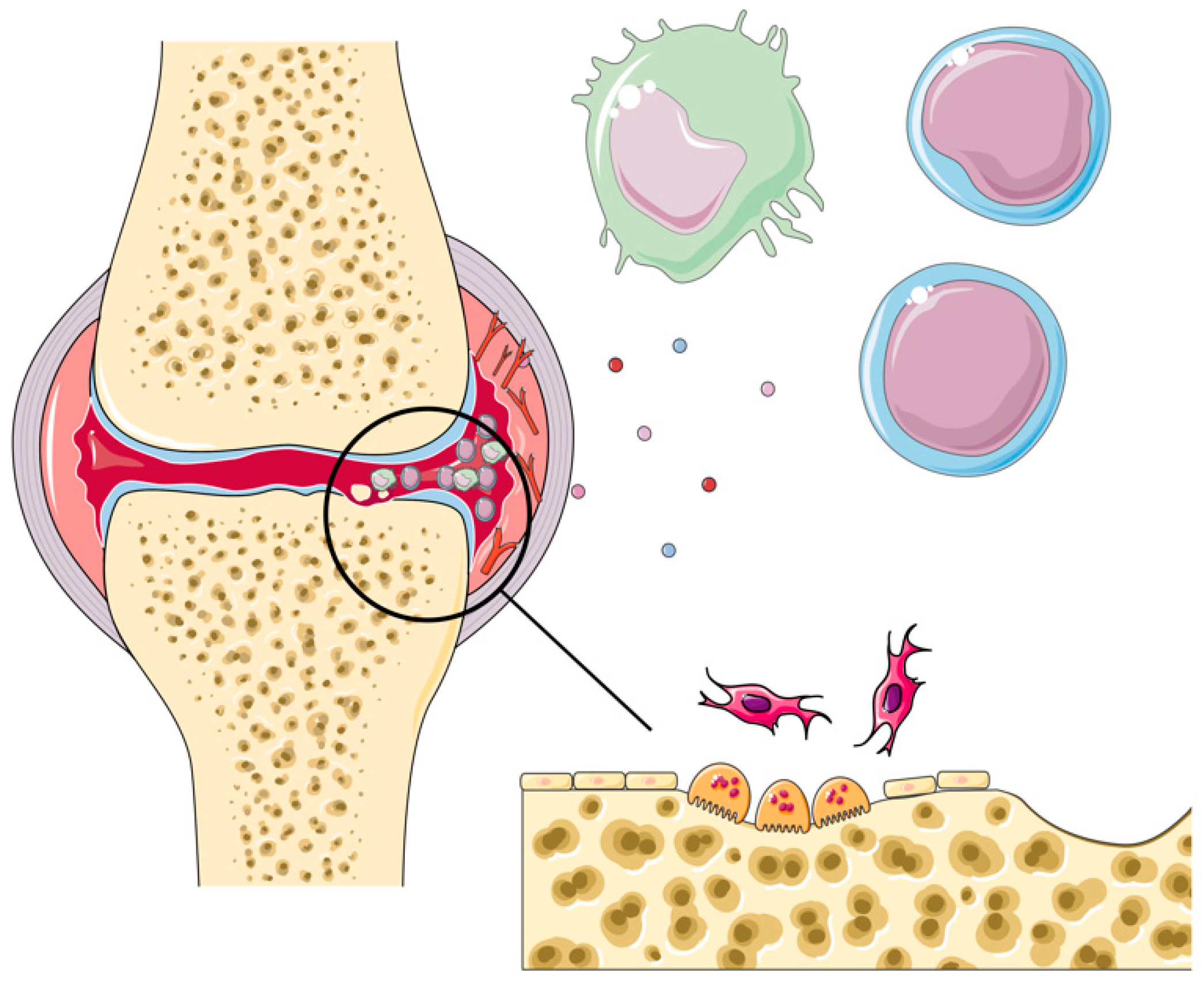 Ijms 26 09950 g001 Ijms 26 09950 g001