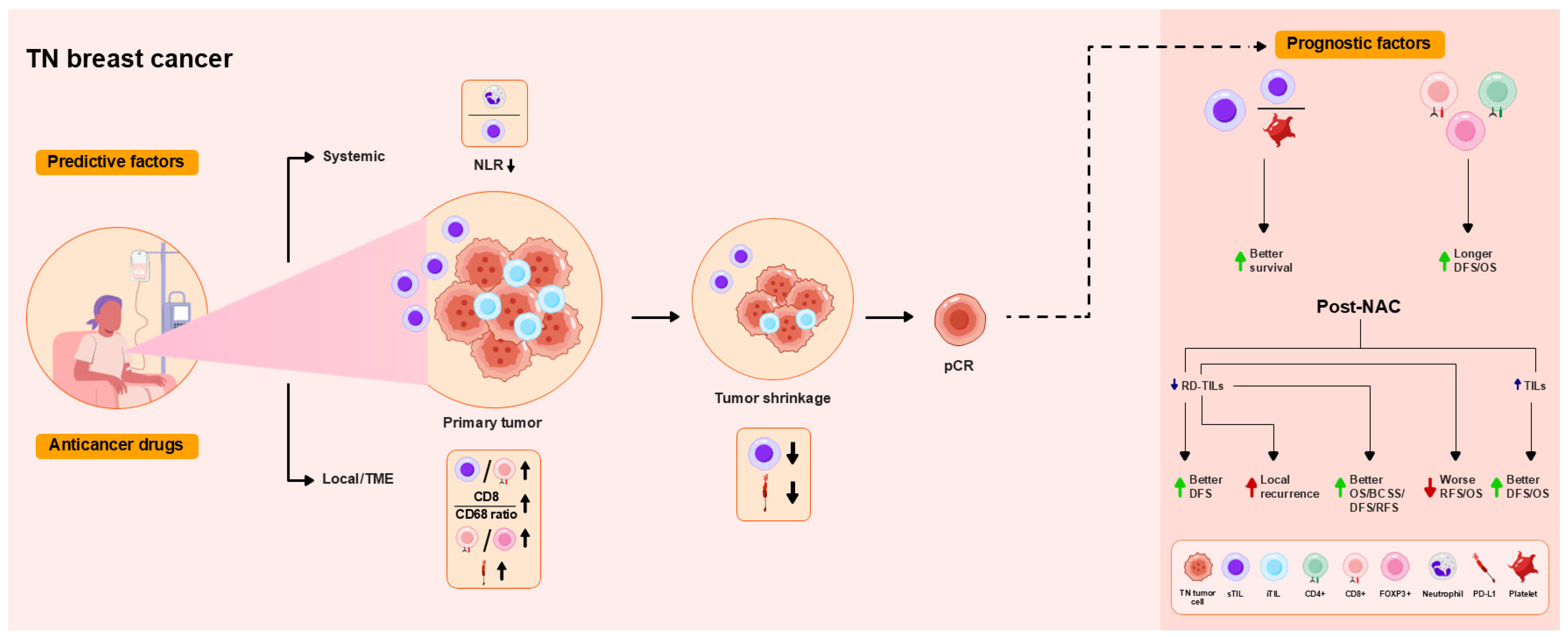 Ijms 26 09959 g001 Ijms 26 09959 g001