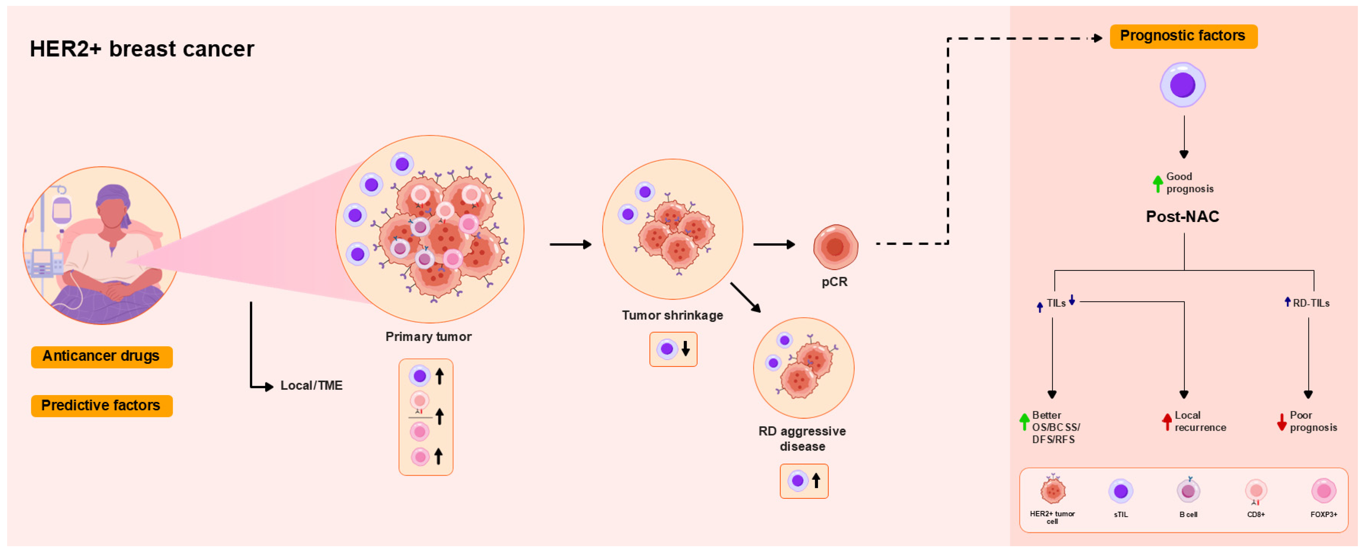 Ijms 26 09959 g002 Ijms 26 09959 g002